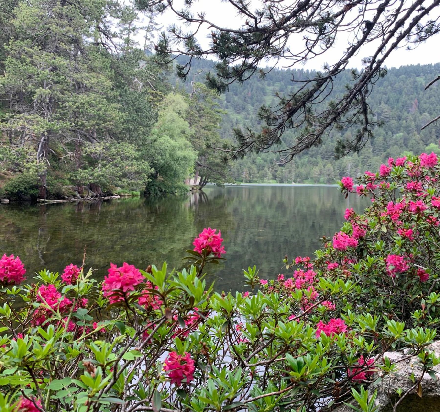 Randonnée Les Angles - Tour du lac de Balquère