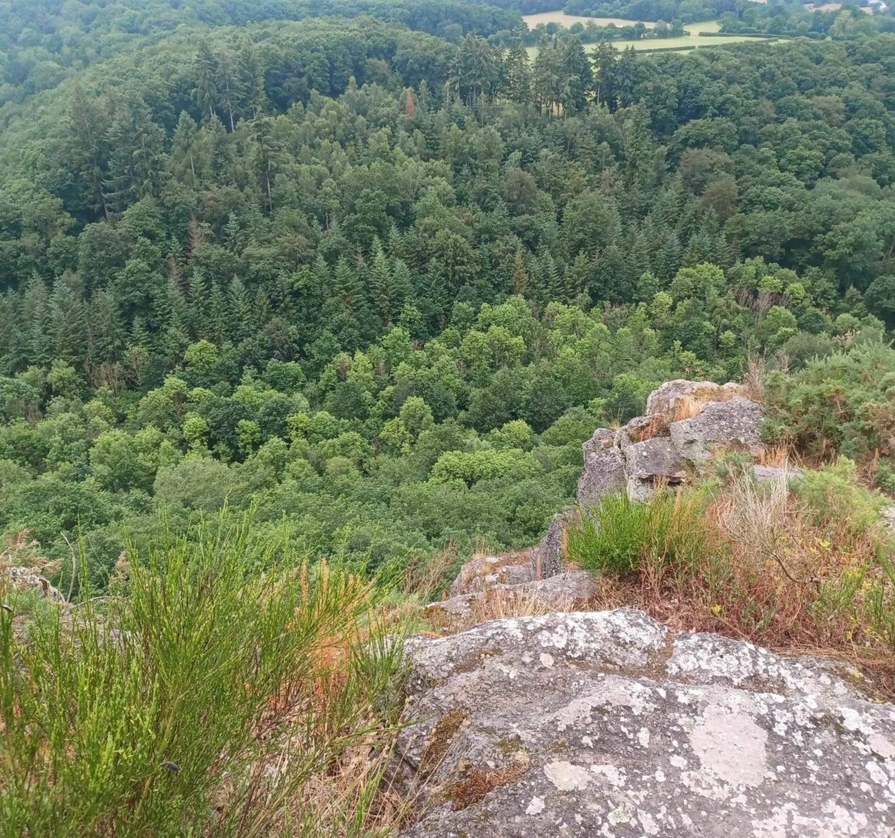 Randonnée Saint-Philbert-sur-Orne - Rando au départ des Roches d'Oêtre par la Rouvre et Saint-Philbert-sur-Orne