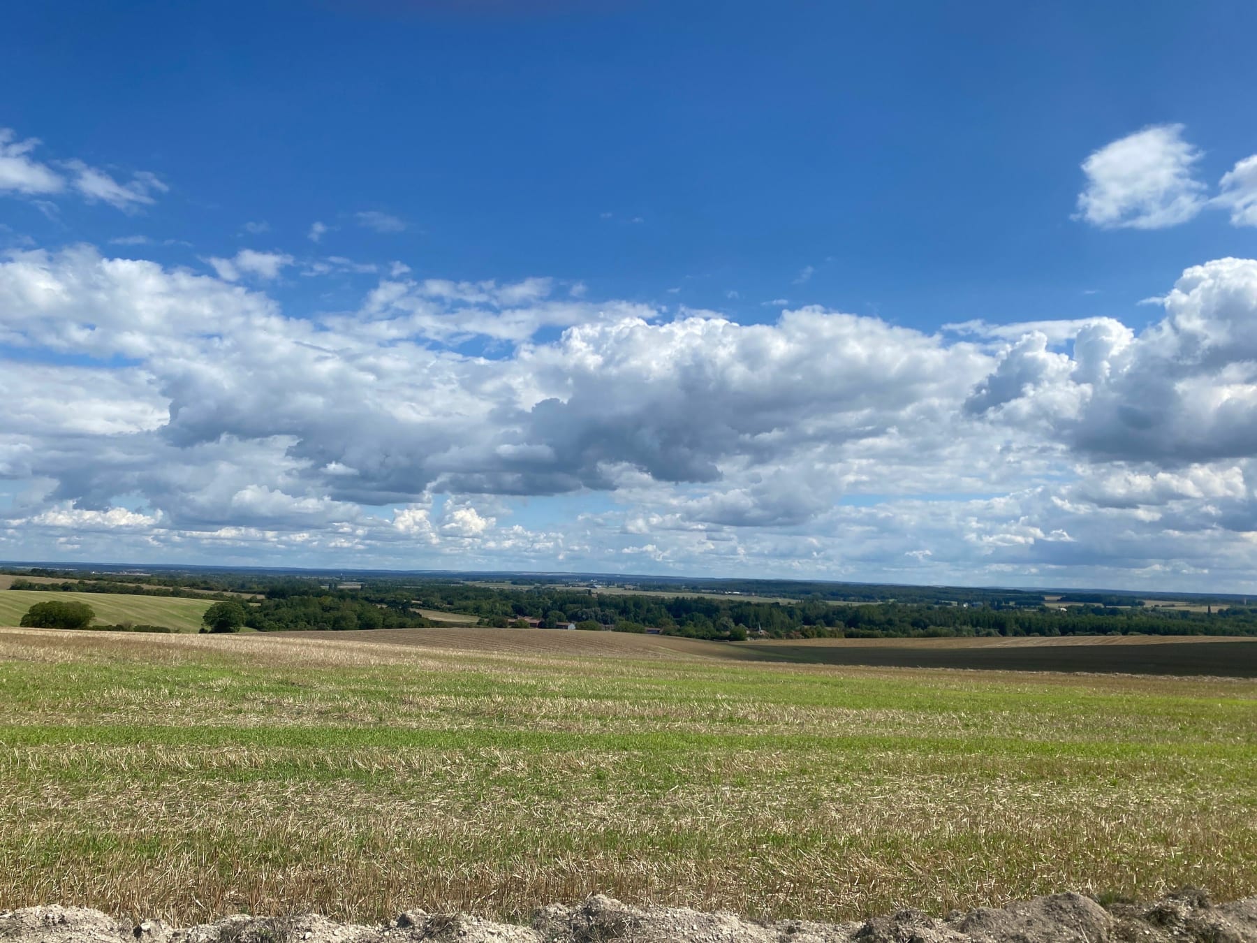 Randonnée Brienne-le-Château - Balade à travers champs à Brienne-le-Château