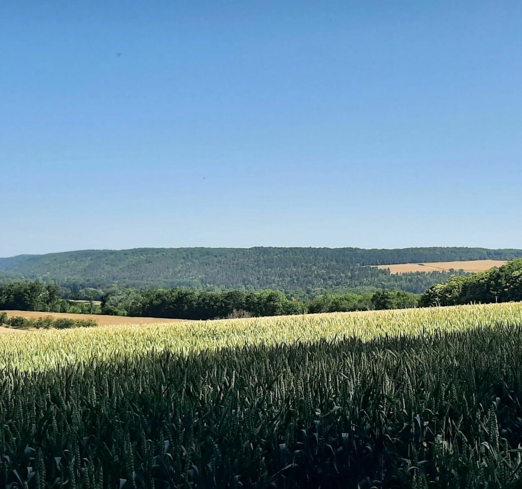 Randonnée Clef-Vallée-d'Eure - Belle randonnée avec de beaux paysages variés à La Croix-Saint-Leufroy