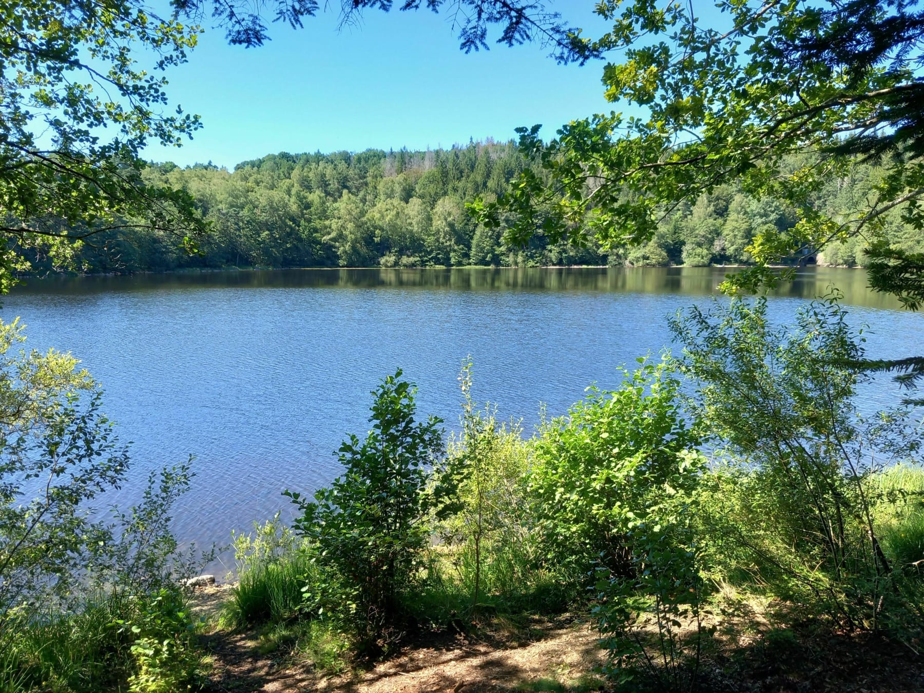 Randonnée Trémouille - Tour du lac Crégut