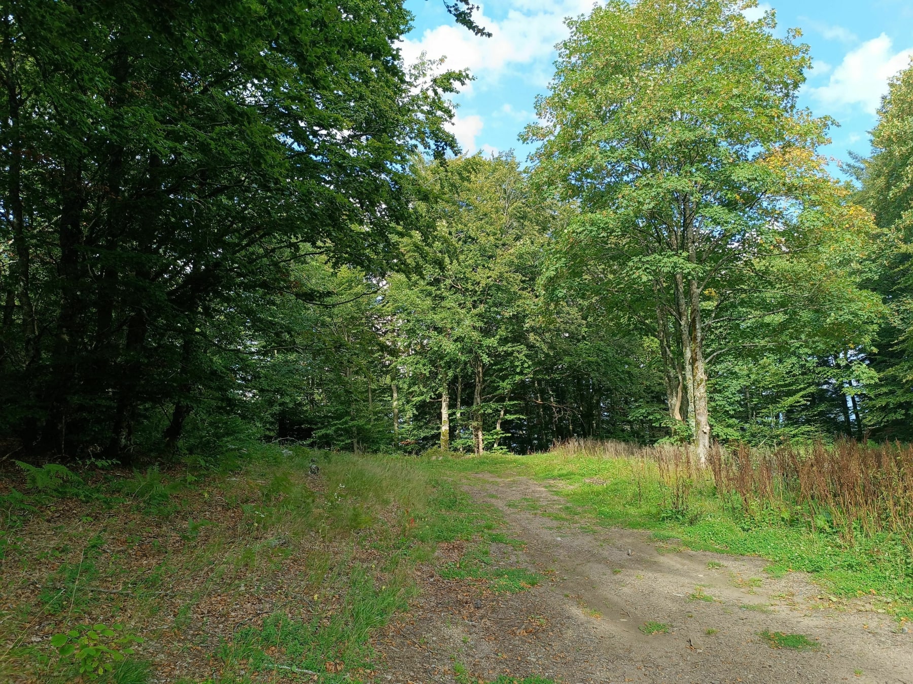 Randonnée Le Thillot - Les hautes mines du Thillot