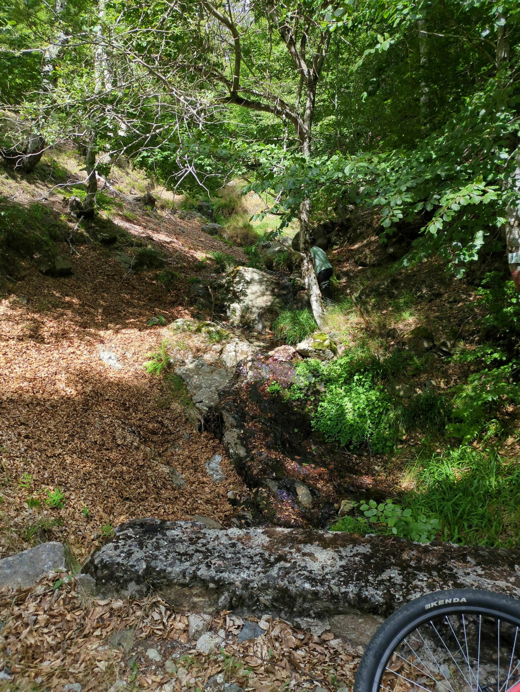 Randonnée Meyrueis - Roc de la Chèvre