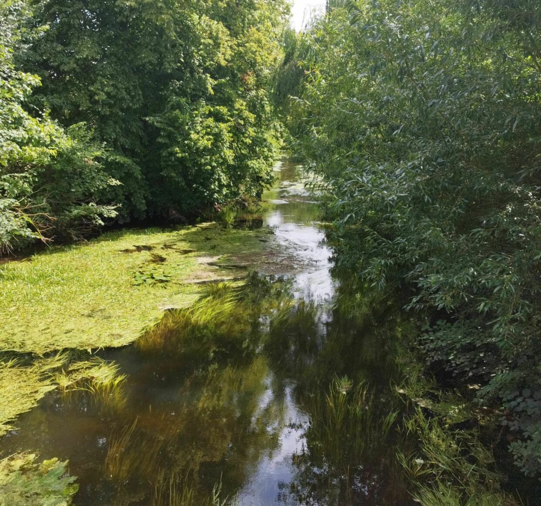 Randonnée Lèves - Balade entre le moulin de Lèves et Saint-Prest