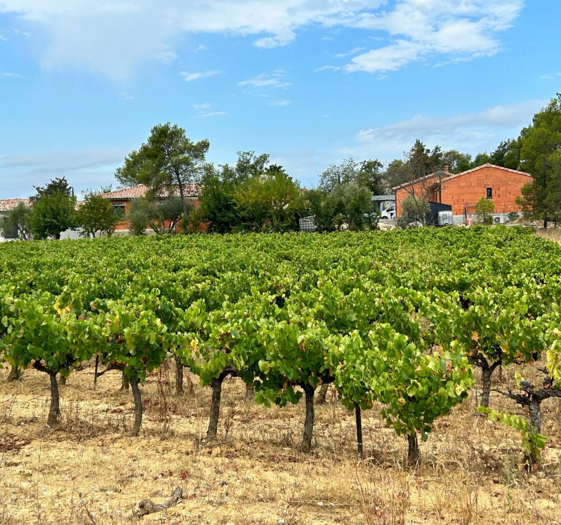 Randonnée Anduze - Balade à vélo depuis Anduze passant par Lézan