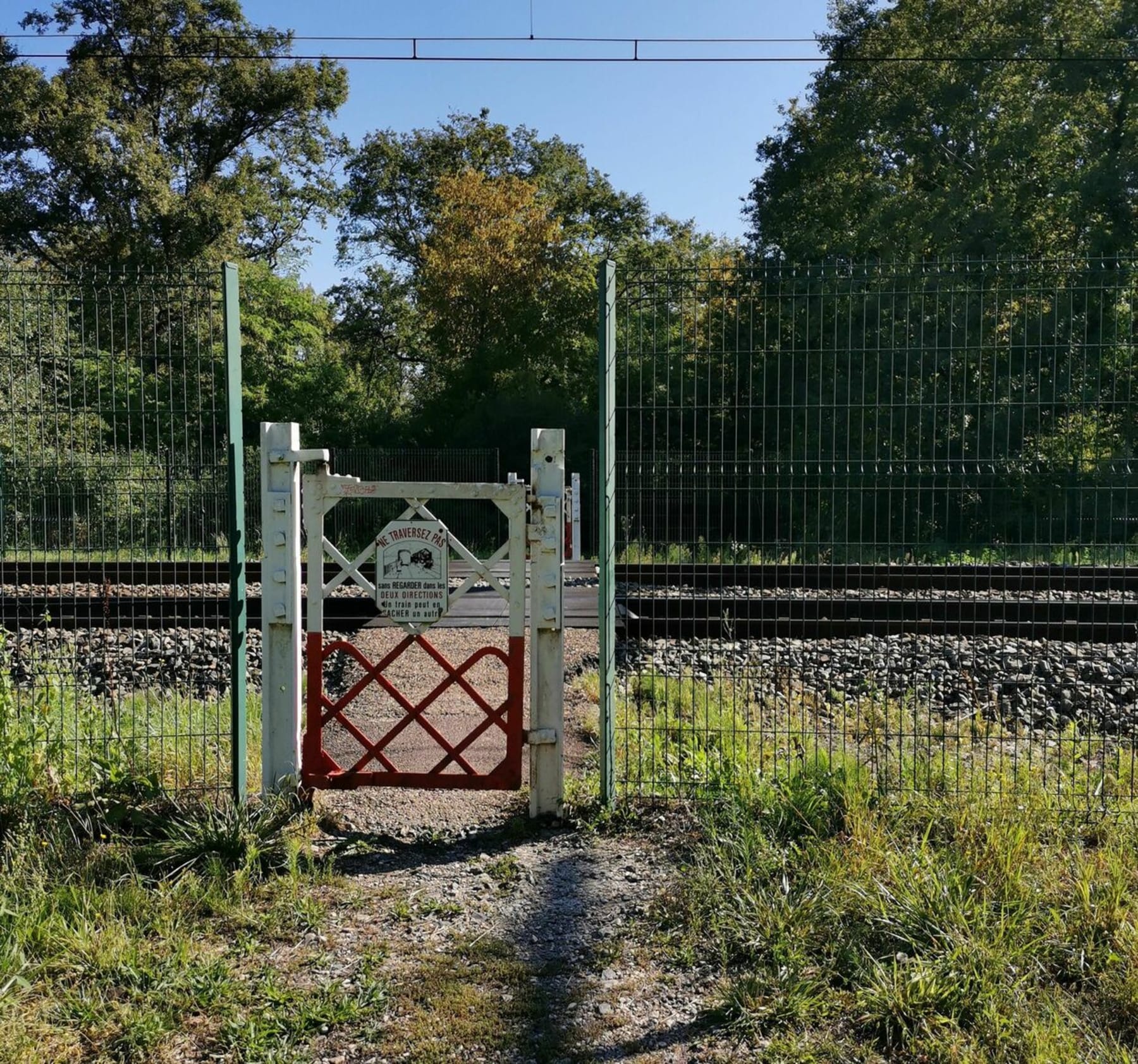 Randonnée Champforgeuil - Étangs de Champforgeuil et Domaniale