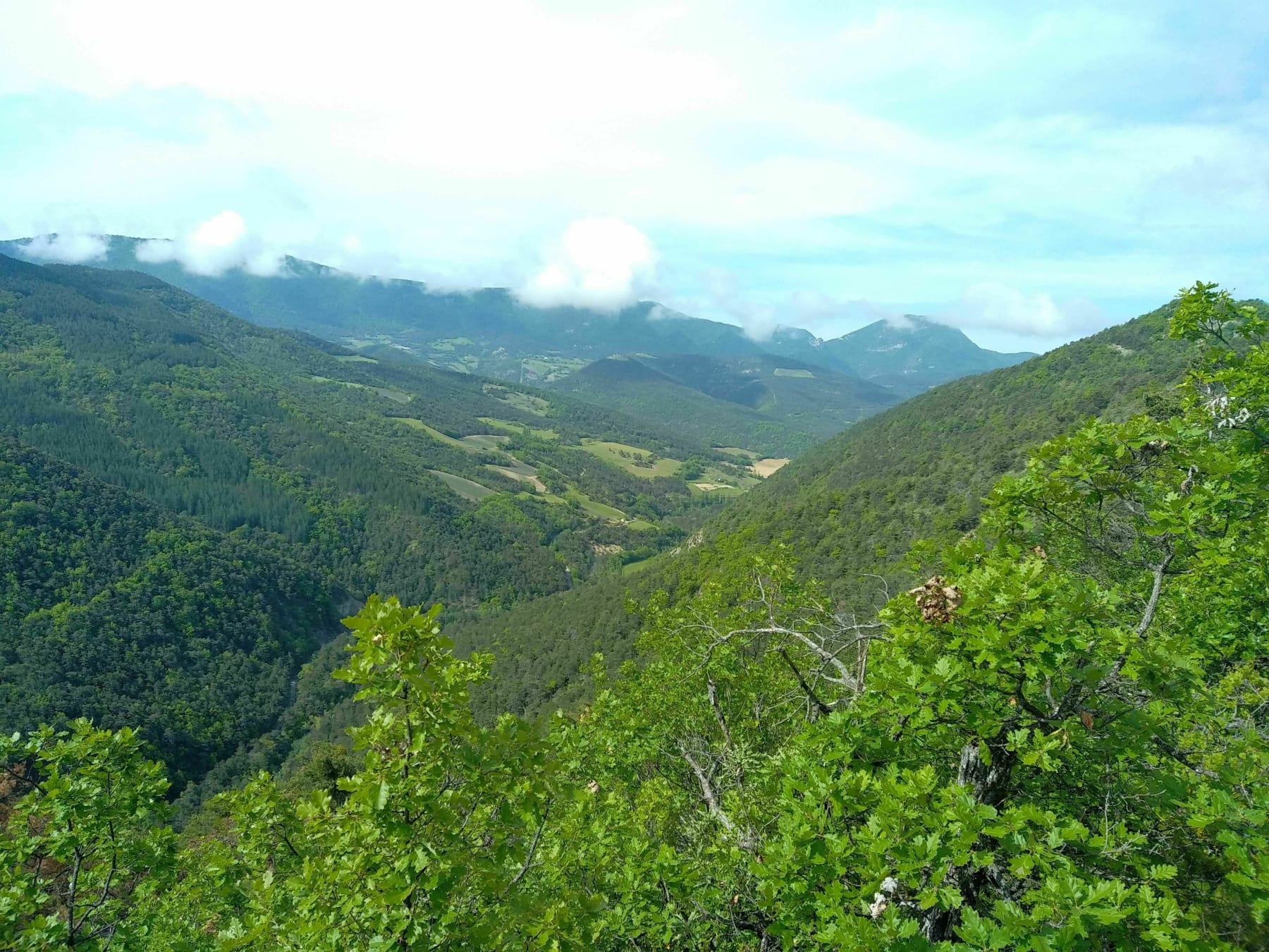 Randonnée Saint-André-de-Rosans - Boucle de Serre de Bout par Chauvet