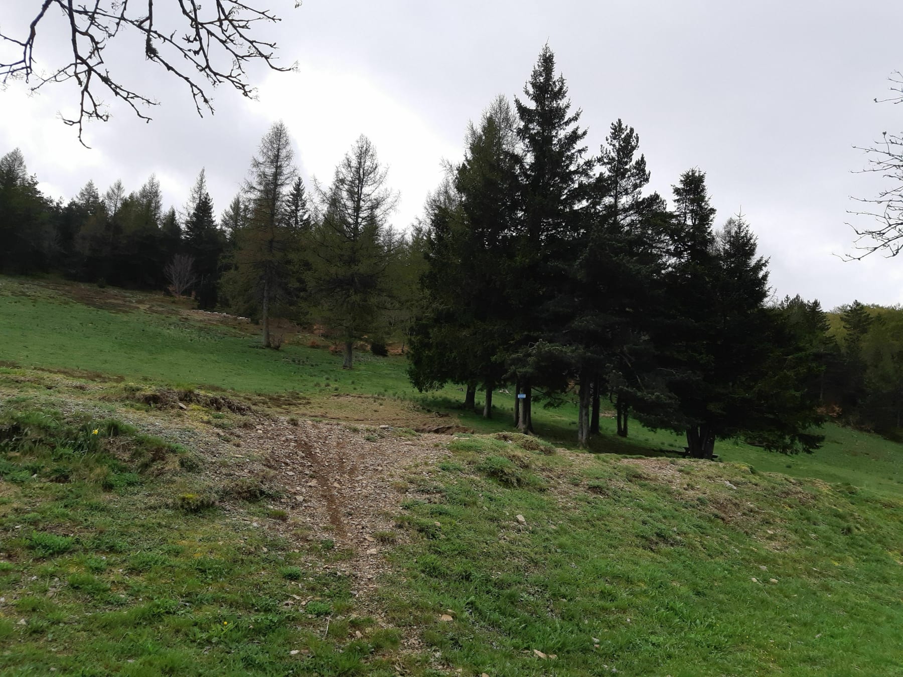 Randonnée Dourbies - VTT facile autour de l'Espérou (Mont Aigoual)