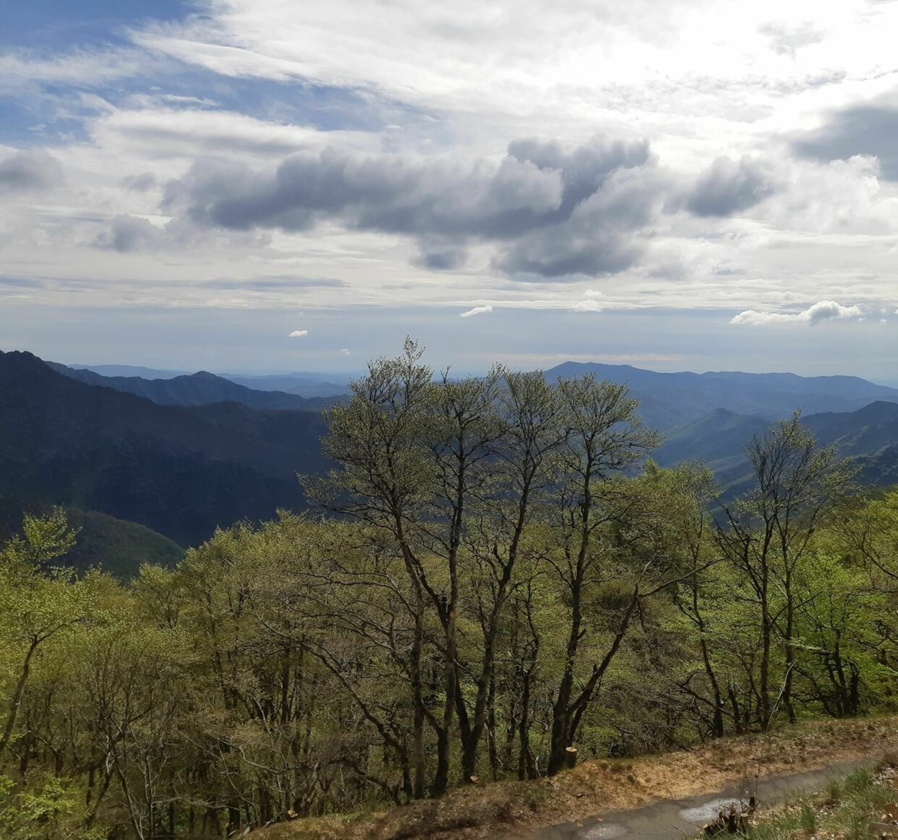 Randonnée Dourbies - VTT facile autour de l'Espérou (Mont Aigoual)