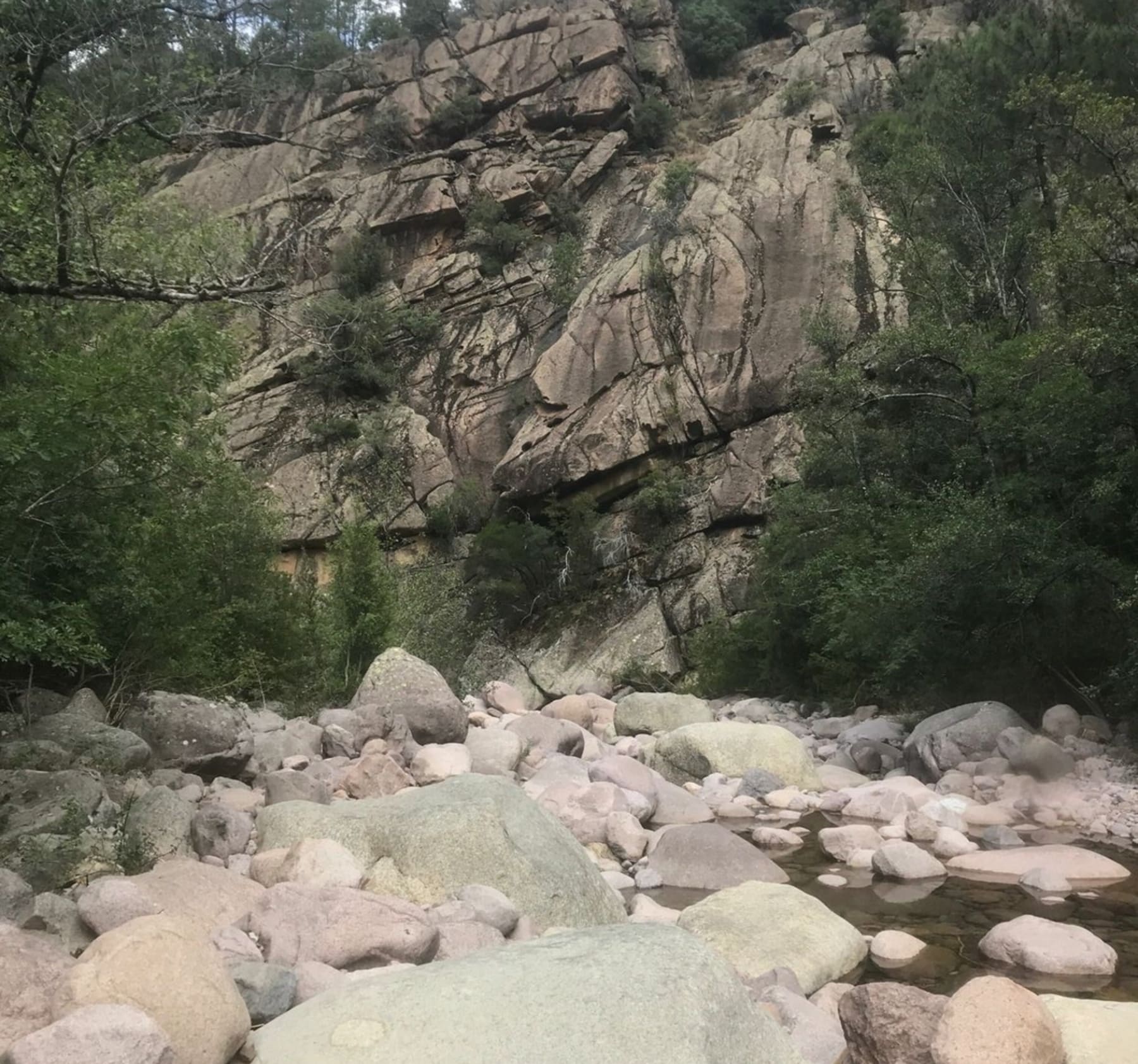 Randonnée Calenzana - Forêt de Bonifatu