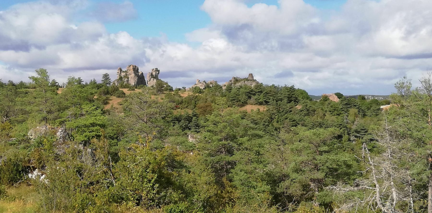 Randonnée Saint-André-de-Vézines - Chaos de Roques Altes et corniches du Rajol