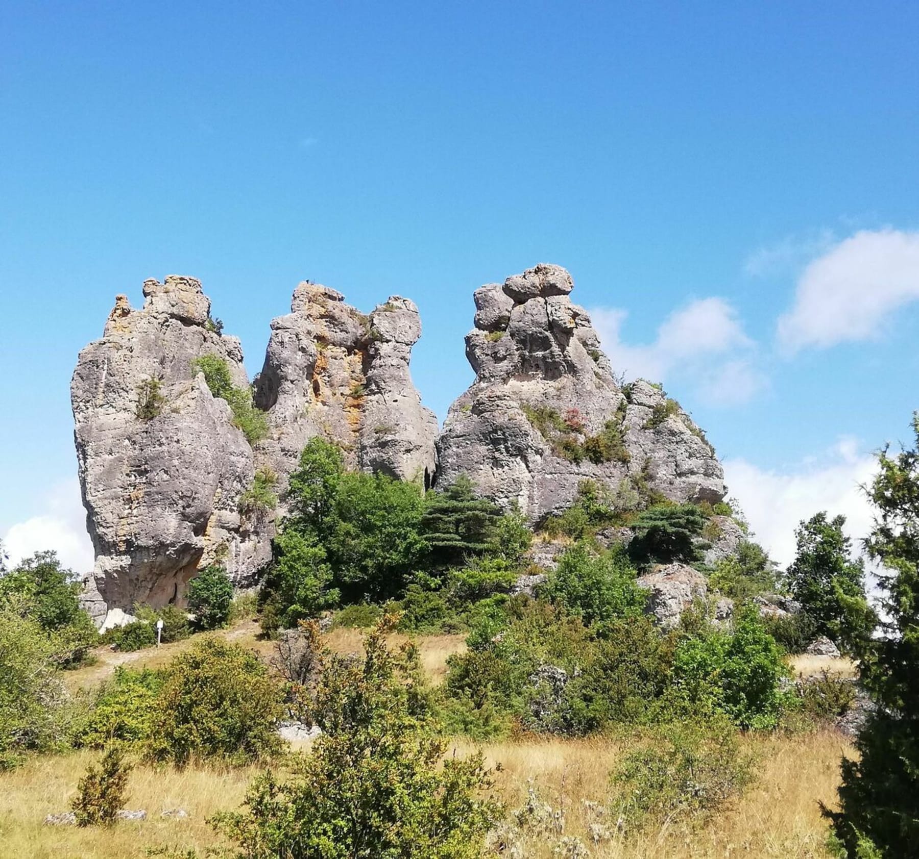 Randonnée Saint-André-de-Vézines - Chaos de Roques Altes et corniches du Rajol