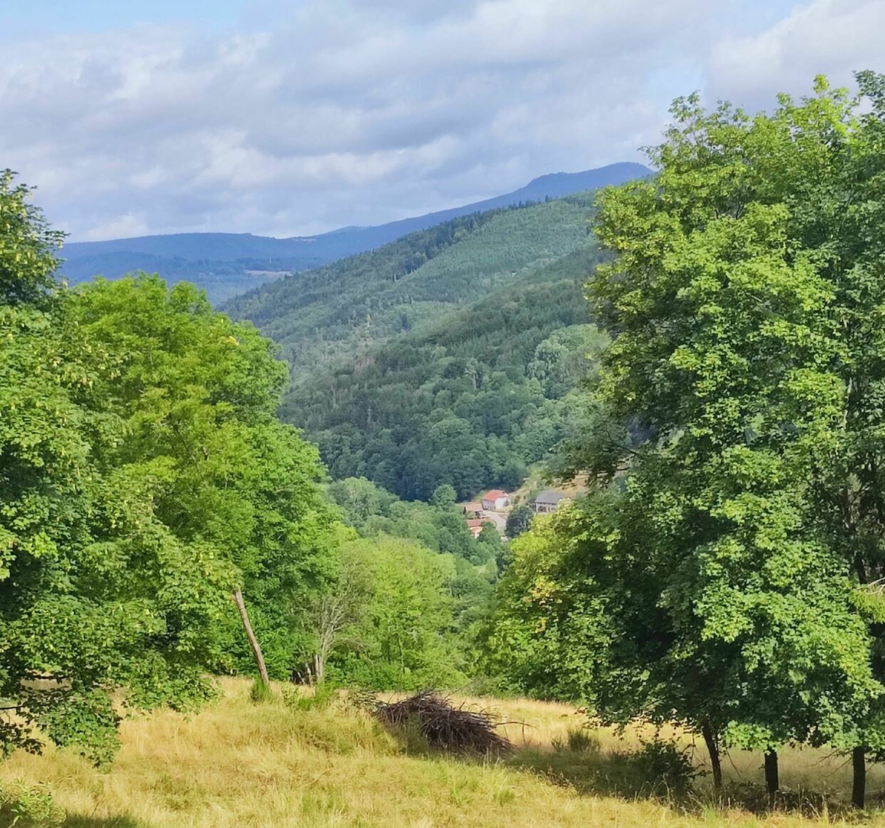 Randonnée Neuviller-la-Roche - Magnifique cascades de la Serva et Magique Neuviller