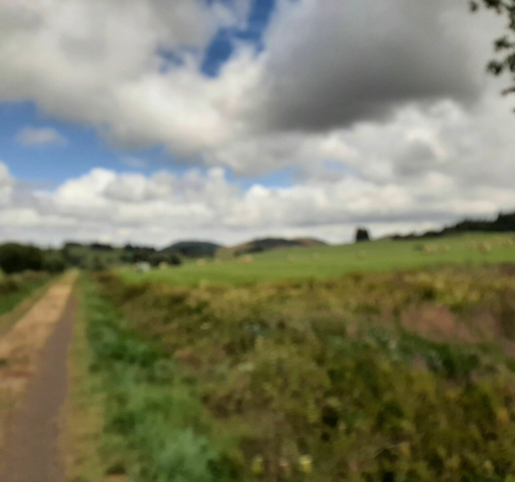 Randonnée Aydat - Puy de la Combegrasse