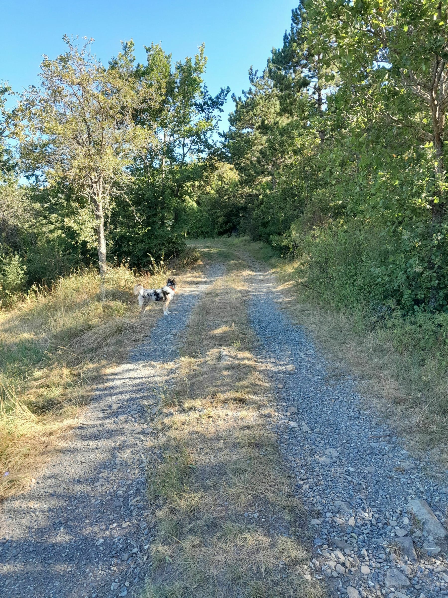 Randonnée La Bâtie-Neuve - Belle vue sur la Bâtie Neuve