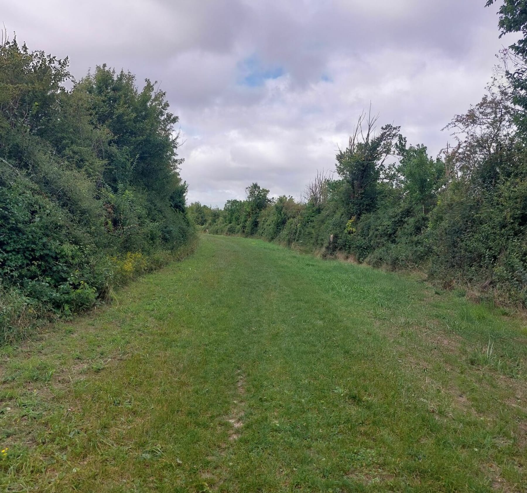 Randonnée Bourges - Asnières bucolique, entre chemin et sentes