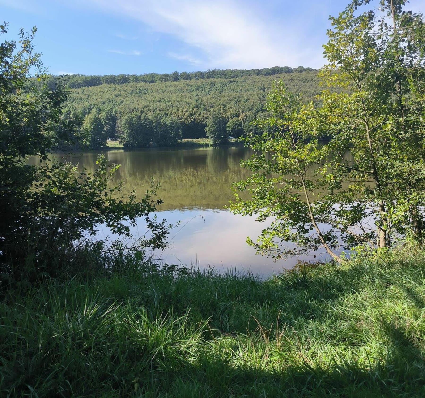 Randonnée Reichshoffen - Plan d'eau de Reichshoffen