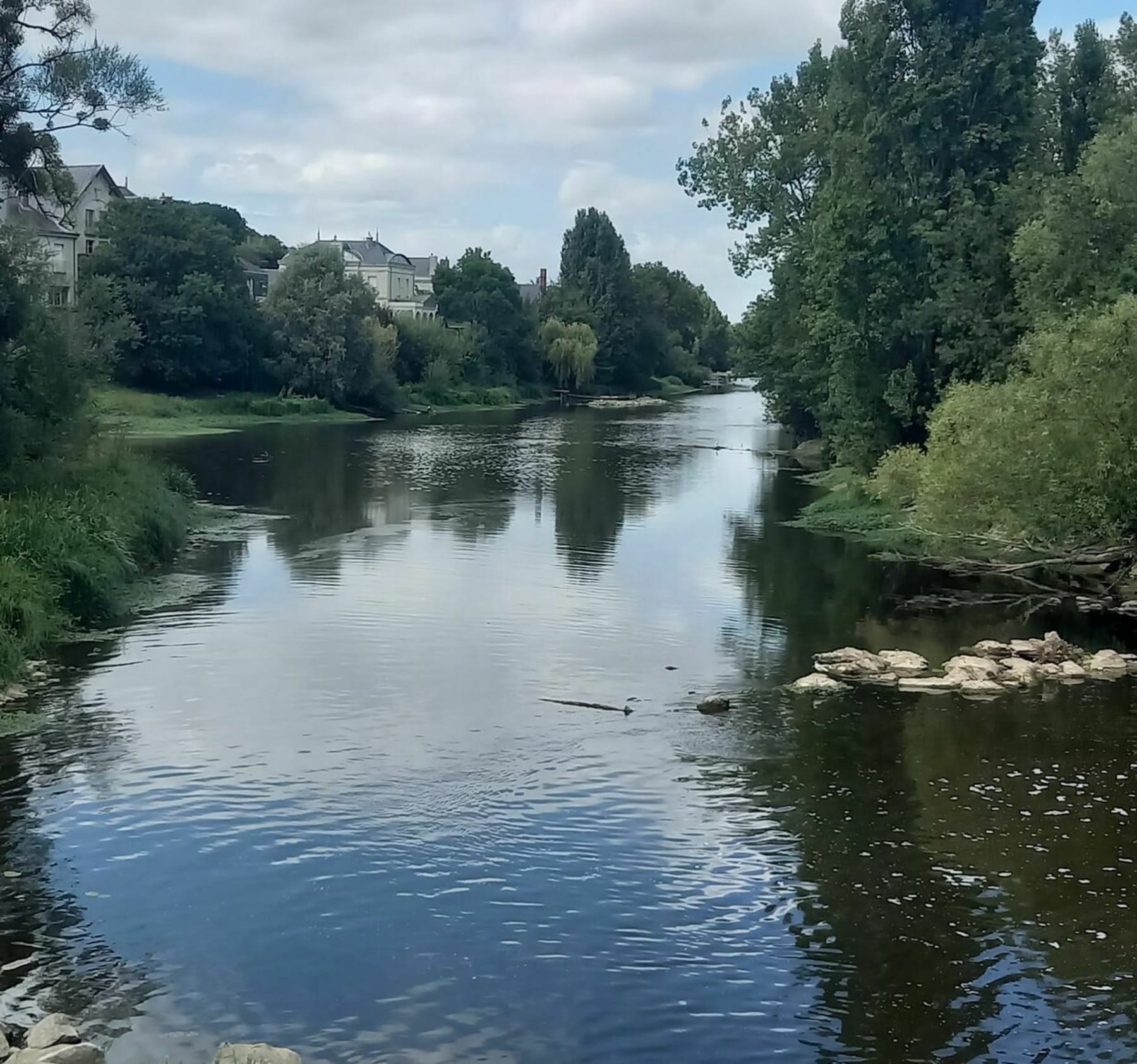 Randonnée Saumur - Randonnée sur les rives du Thouet