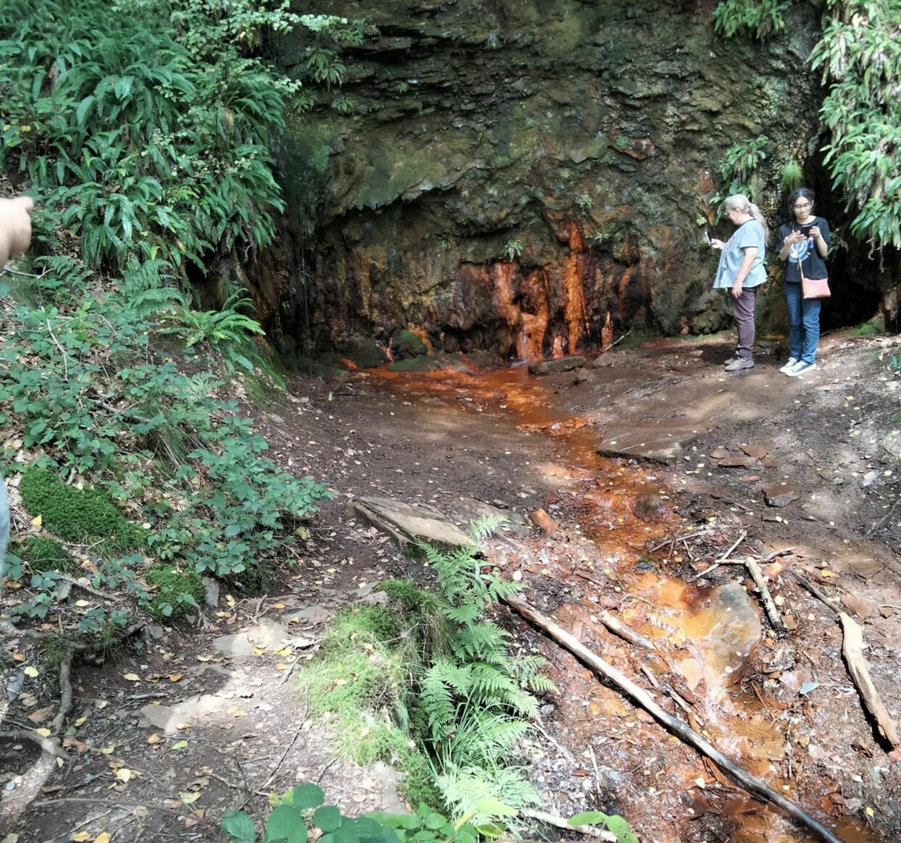 Randonnée Laifour - Source ferrugineuse de Laifour