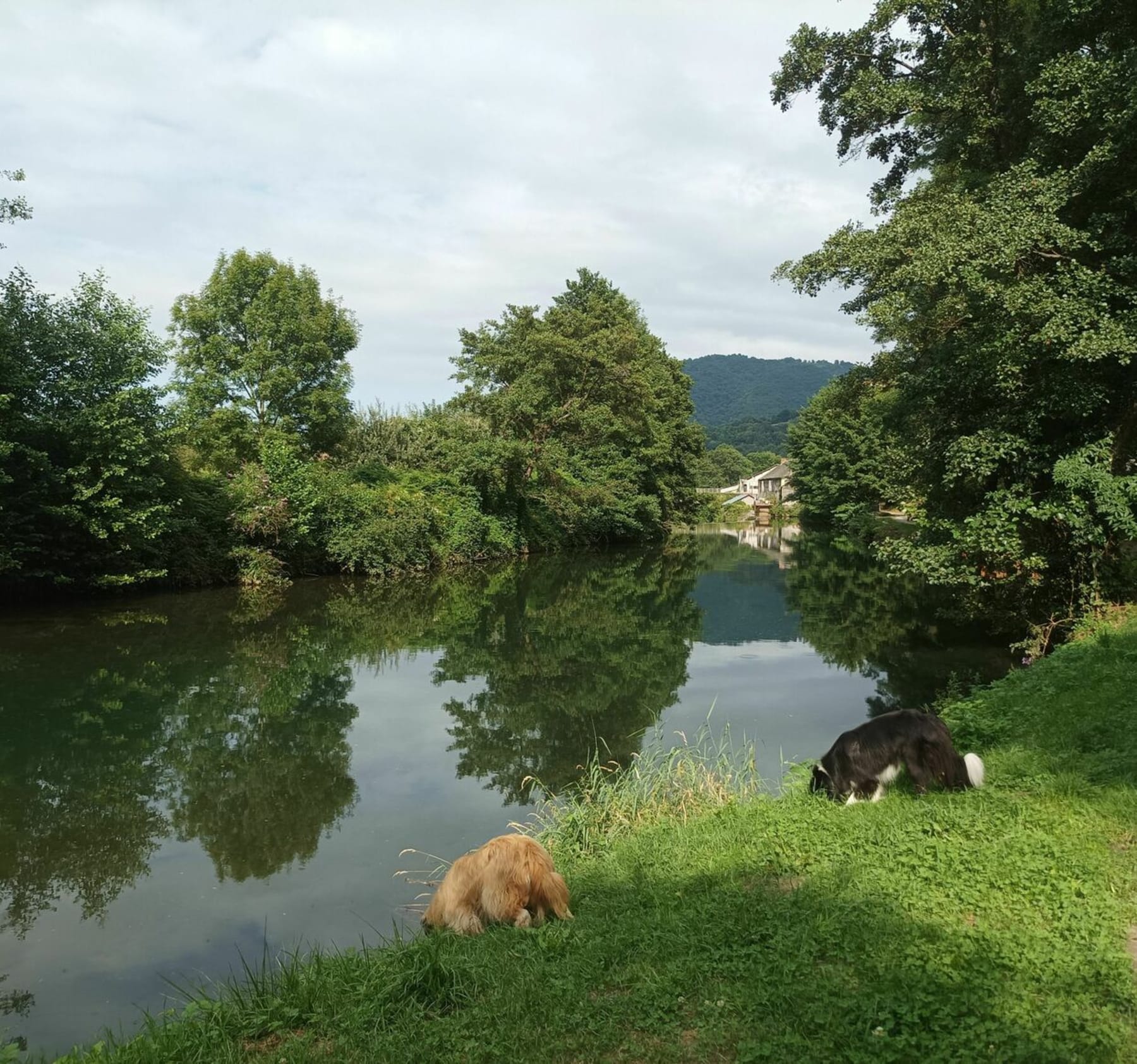 Randonnée Engomer - Balade le long du Lez d'Engomer à Arguila