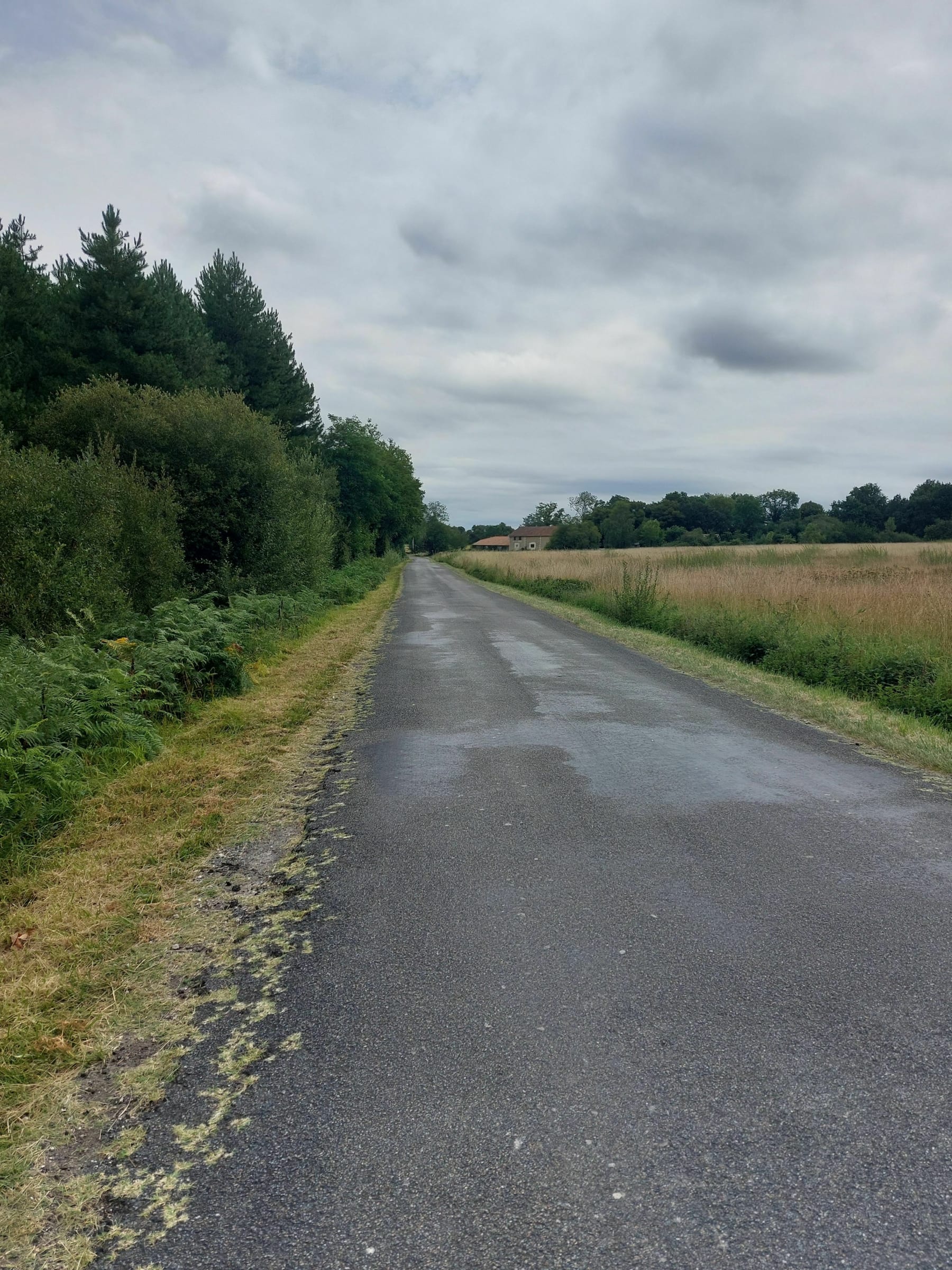 Randonnée Condéon - Balade par les chemins près d'une carrière sur Condéon