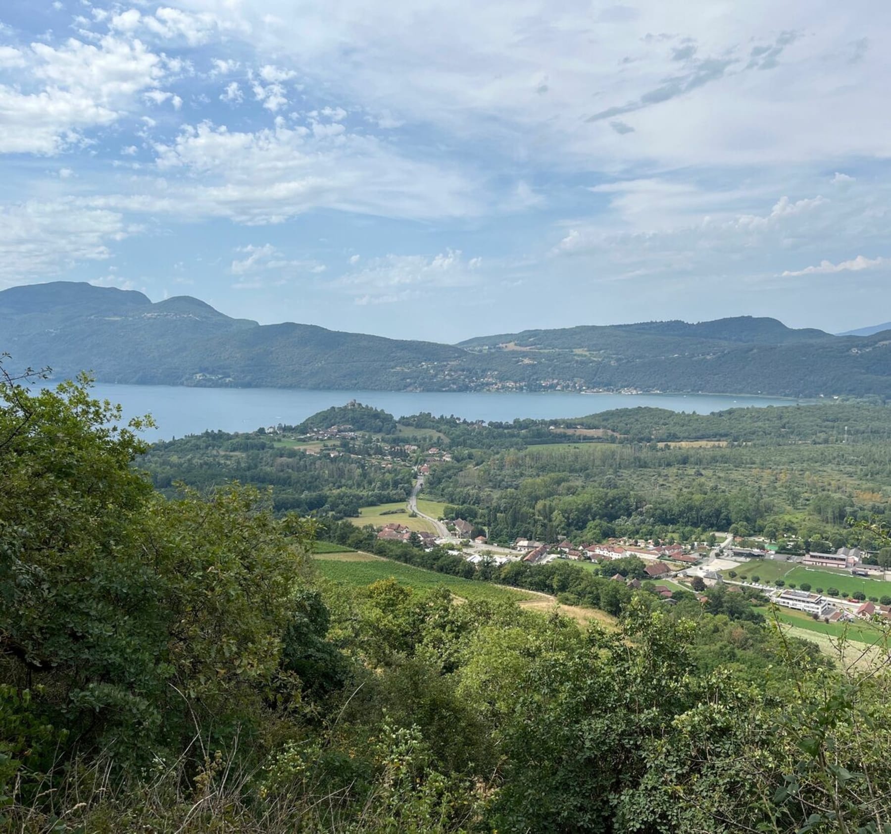 Randonnée Chindrieux - Chindrieux à flancs de montagne.