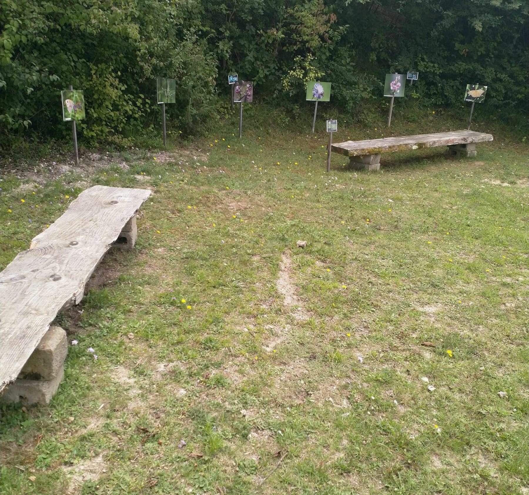 Randonnée Jouy-sur-Eure - Sentier botanique du bois des folies à Jouy et Forêt des Ronces