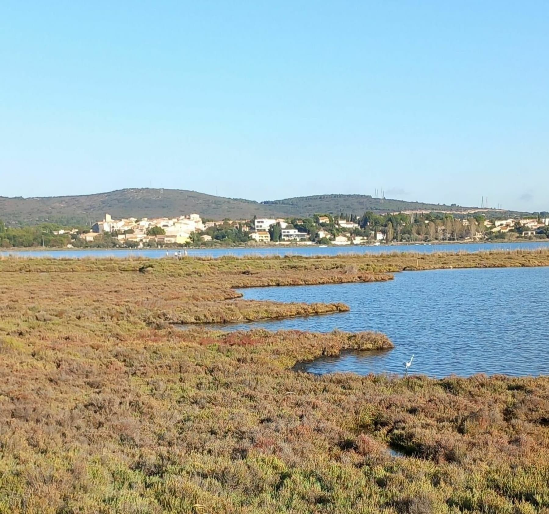 Randonnée Balaruc-les-Bains - Entre l'étang de Thau et la garrigue