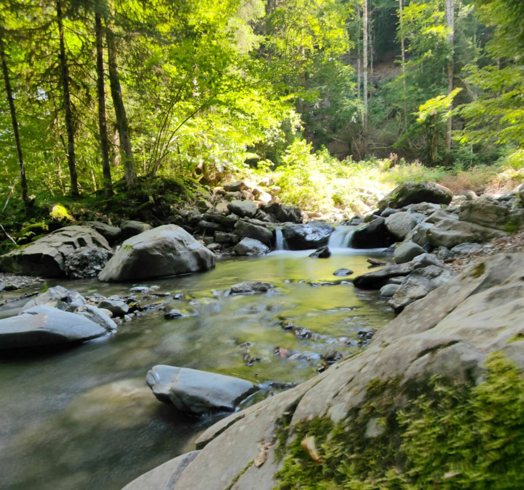 Randonnée Samoëns - Cascade du Nant d'Ant