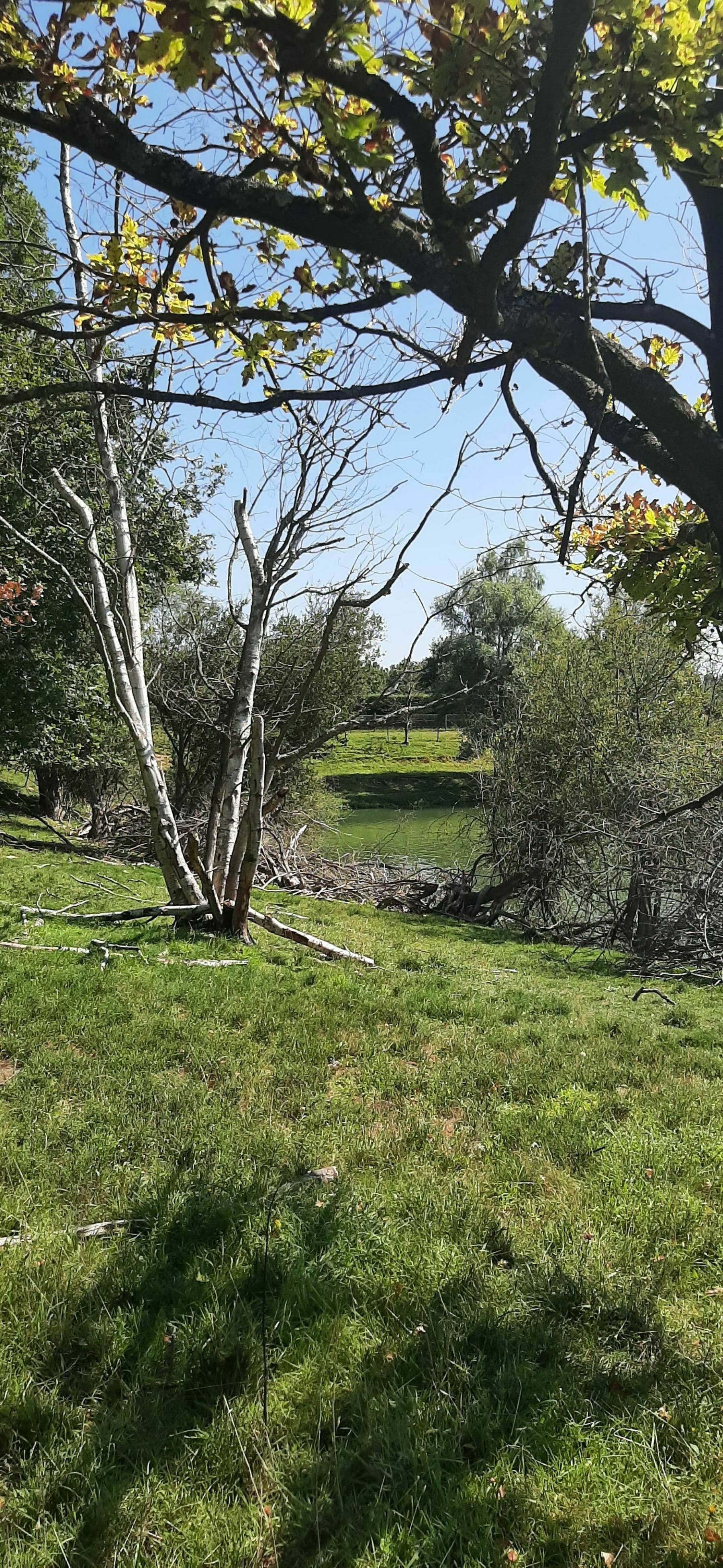 Randonnée Anneville-Ambourville - Anneville entre lacs, vergers et bord de Seine