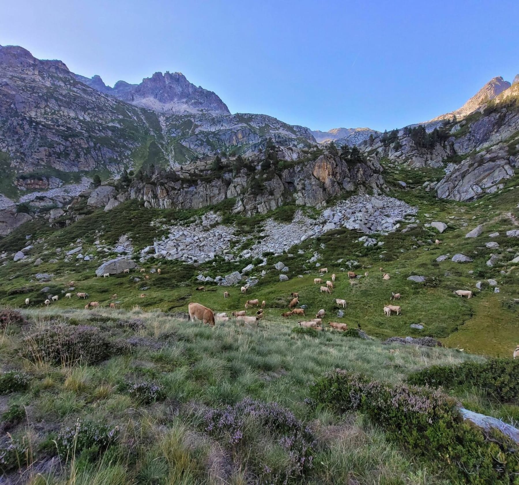 Randonnée Orlu - Randonnée en vallée d'Orlu et l'étang de Naguille