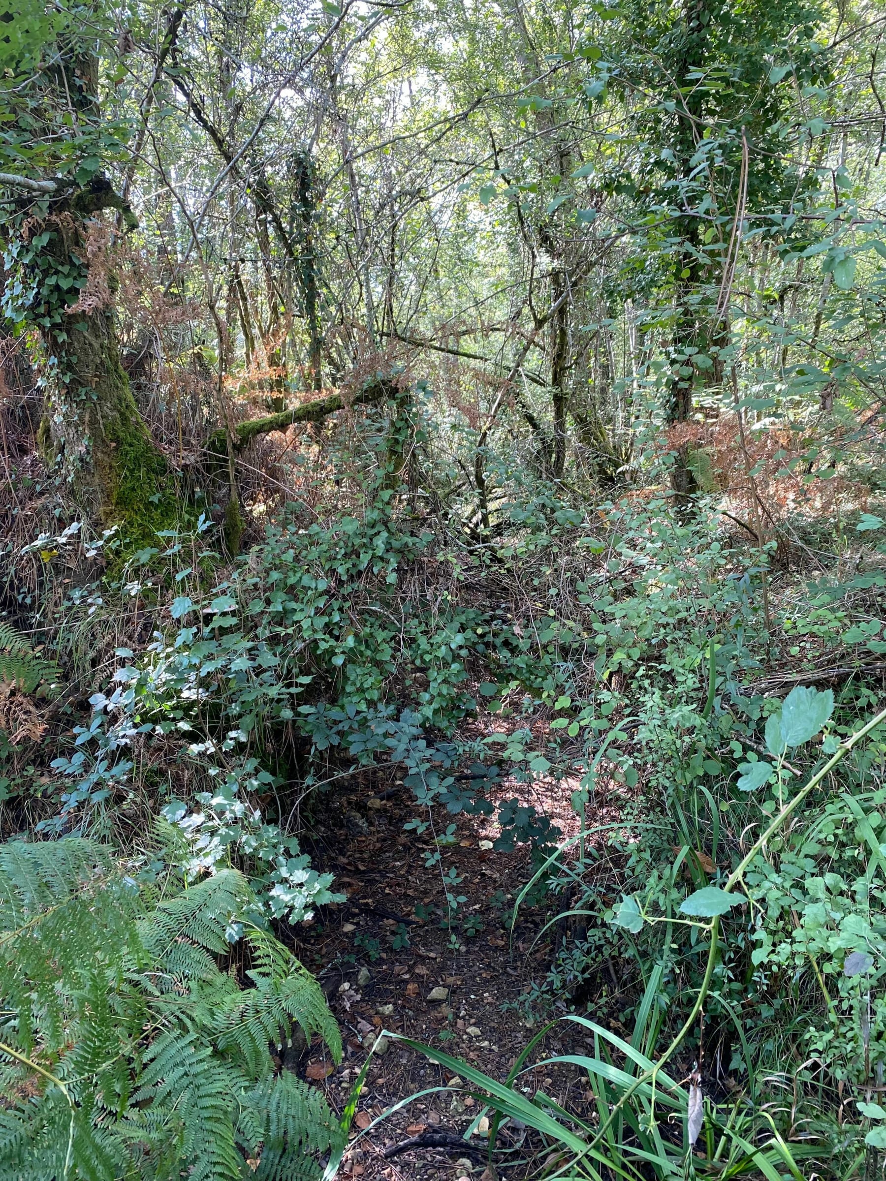 Randonnée Avensan - Parcours de l'Escouley par Villeranque