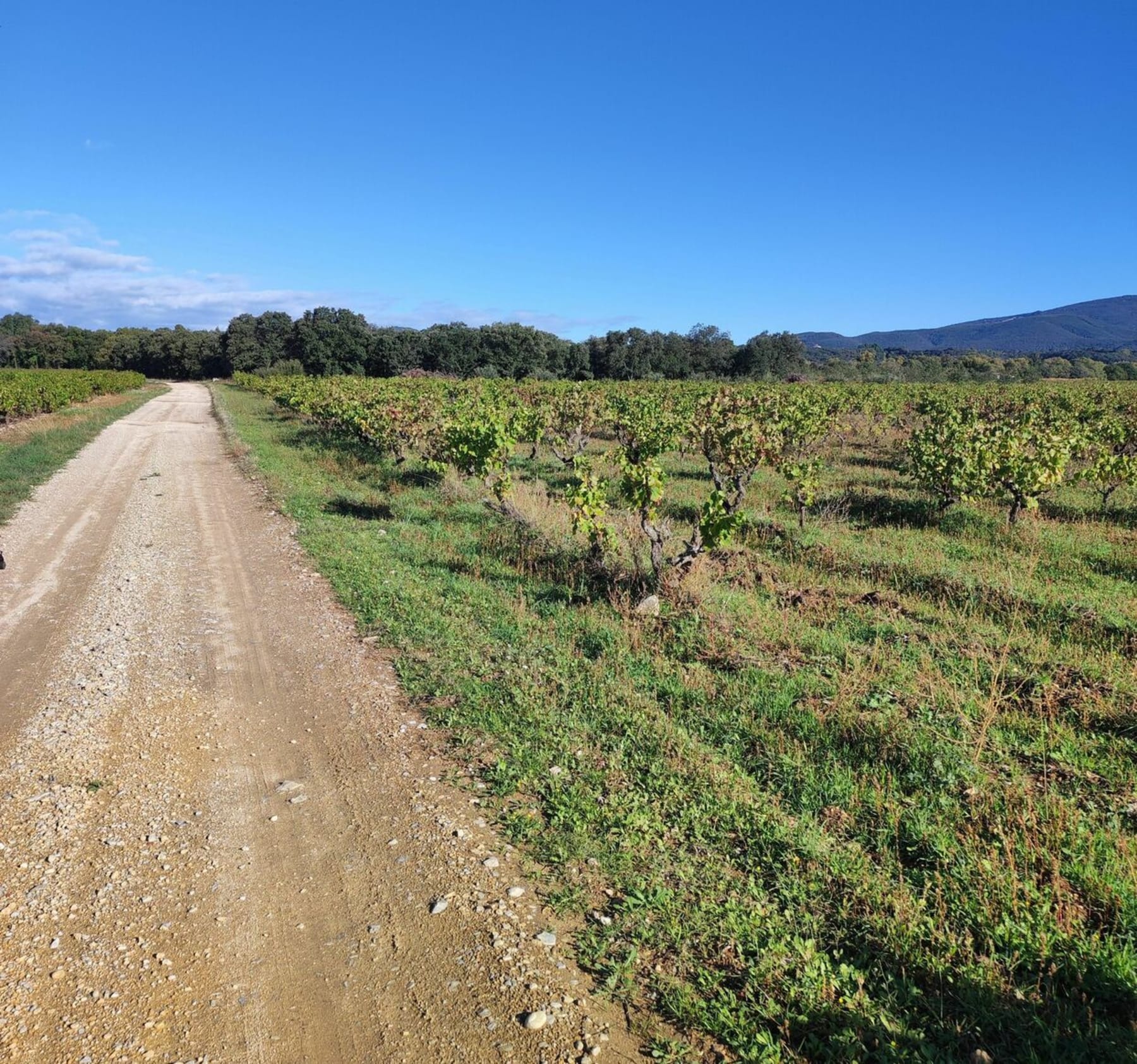 Randonnée Valréas - Balade en vélo campagne de Valréas