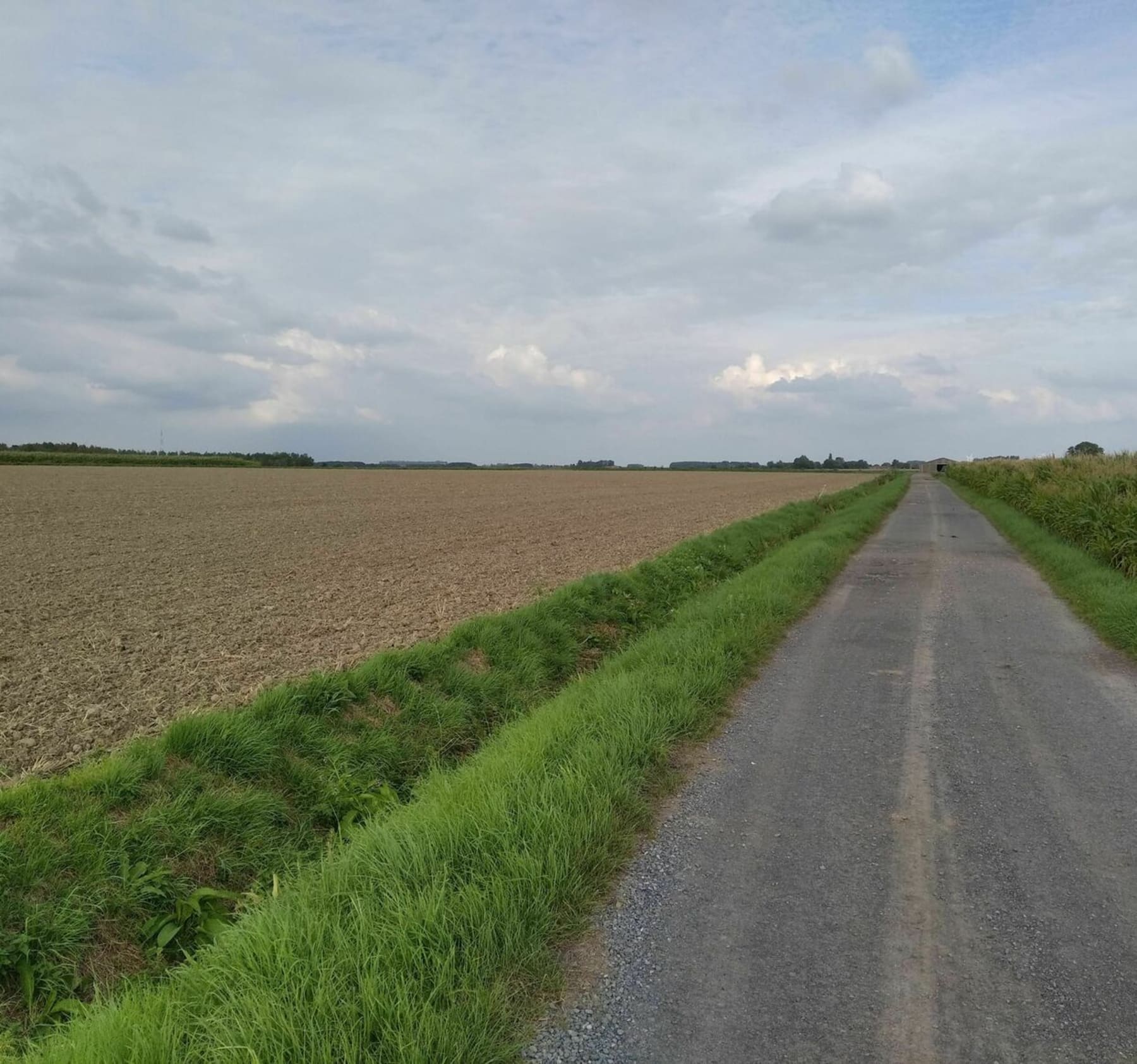 Randonnée Bachy - Chemin de campagne autour de Bachy et Rumes par Bois des Prêtres