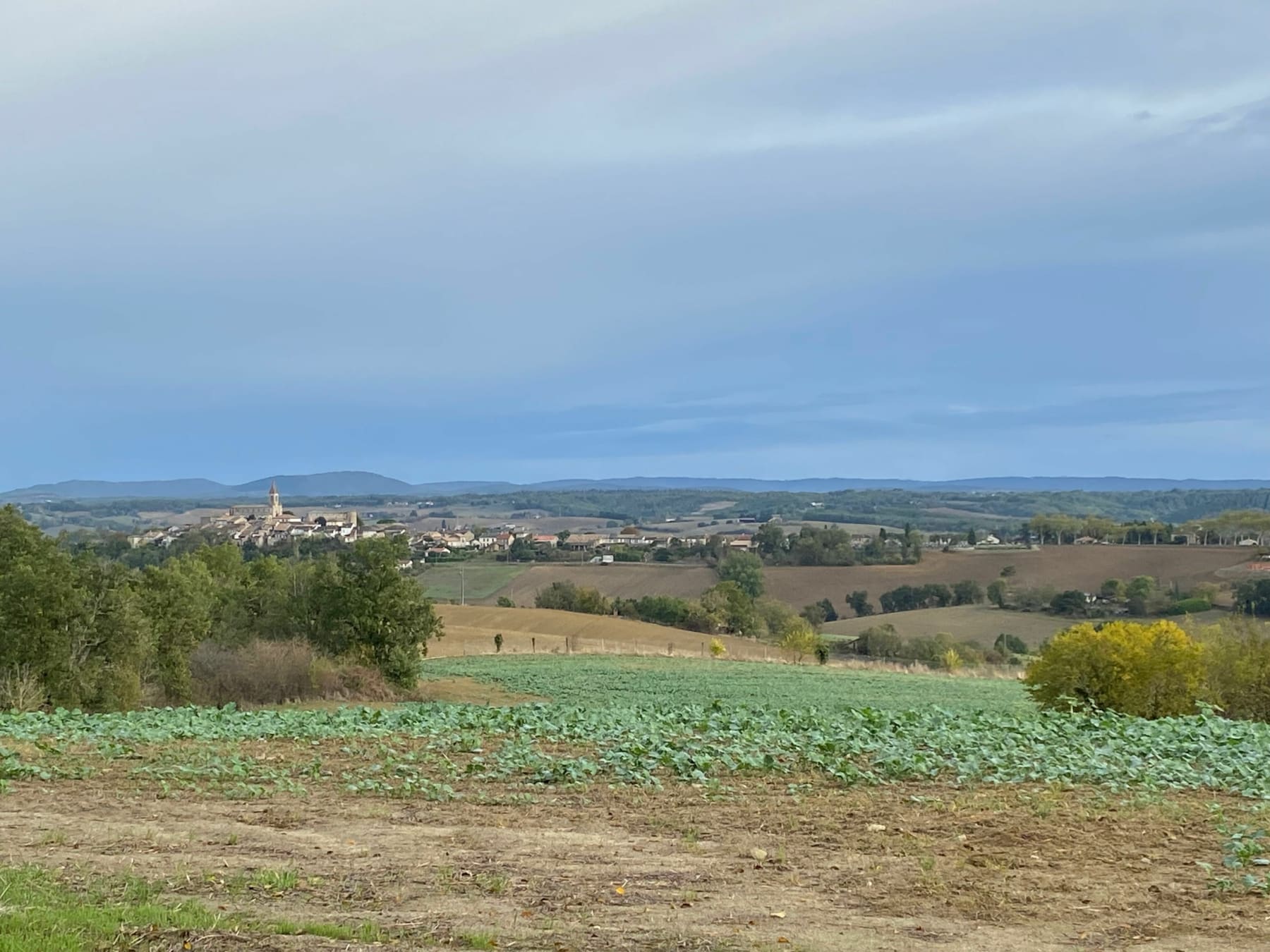 Randonnée Salvagnac - Coteaux de Salvagnac en route