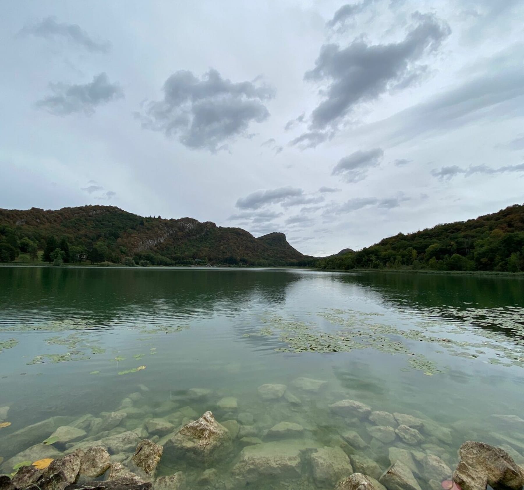 Randonnée Pollieu - Randonnée autour du lac de Barterand