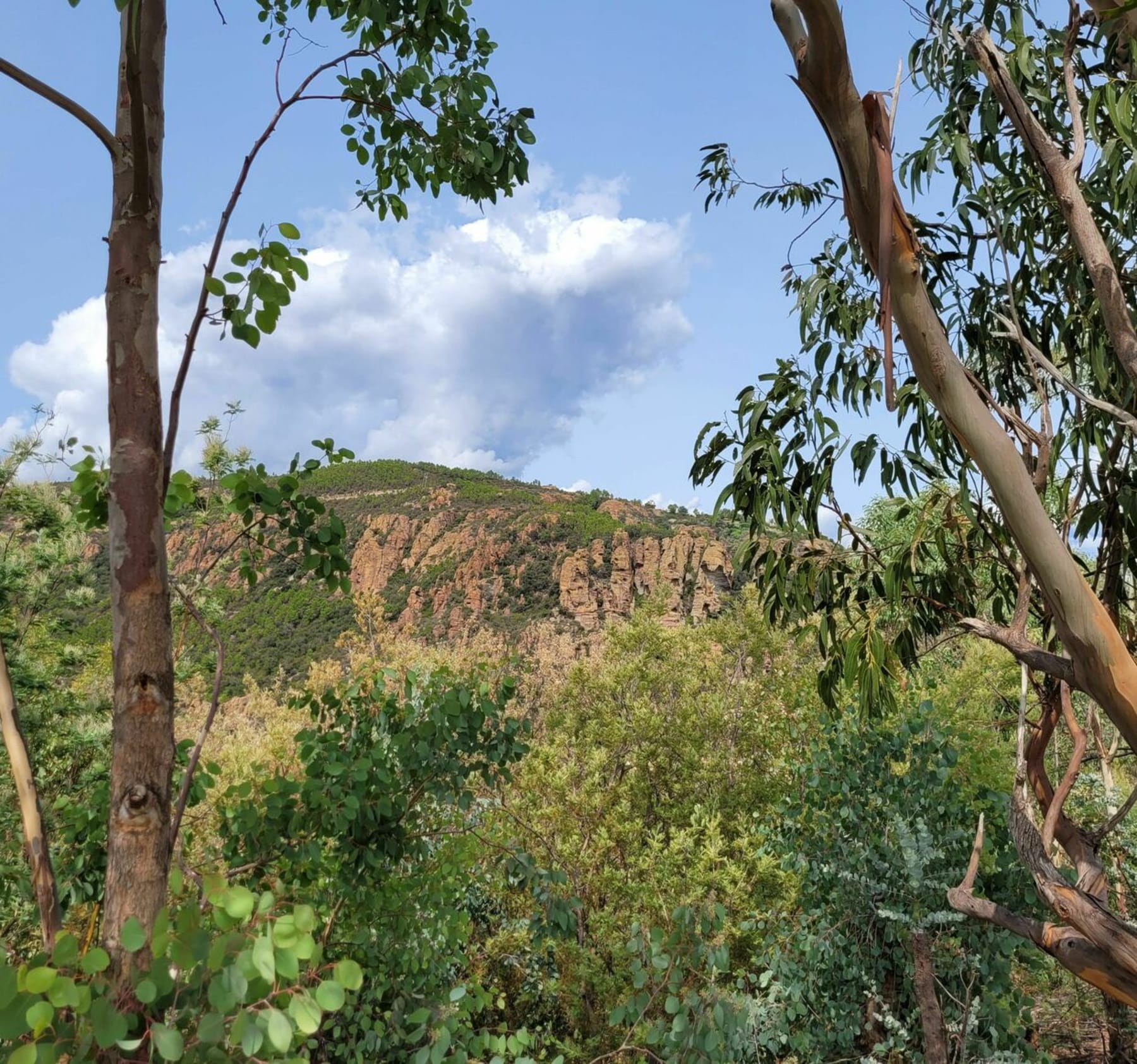 Randonnée Mandelieu-la-Napoule - Notre Dame d'Afrique depuis le port de la Rague