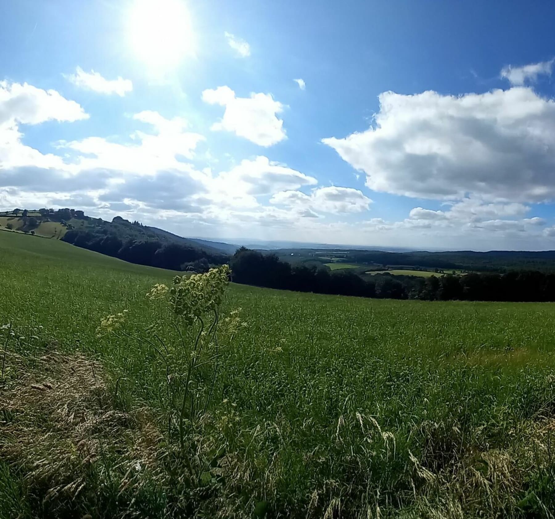 Randonnée Agen-d'Aveyron - Autour d'Agen-d'Aveyron