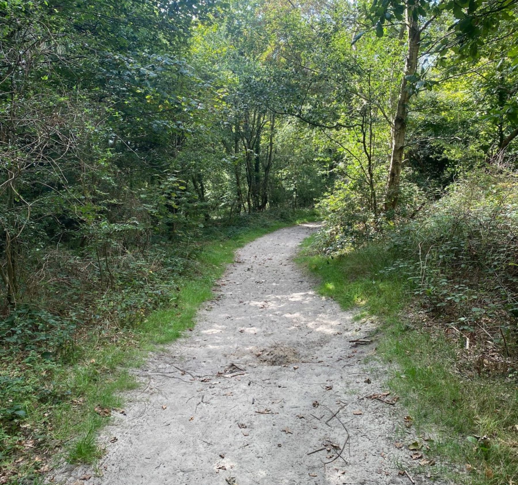 Randonnée Saint-Étienne-au-Mont - Randonnée à Ecault