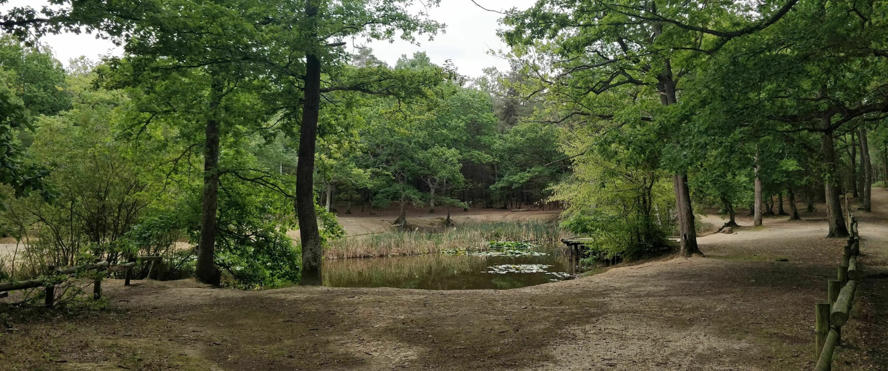 Randonnée Évreux - Randonnée dans le massif forestier d'Evreux-la-Madeleine