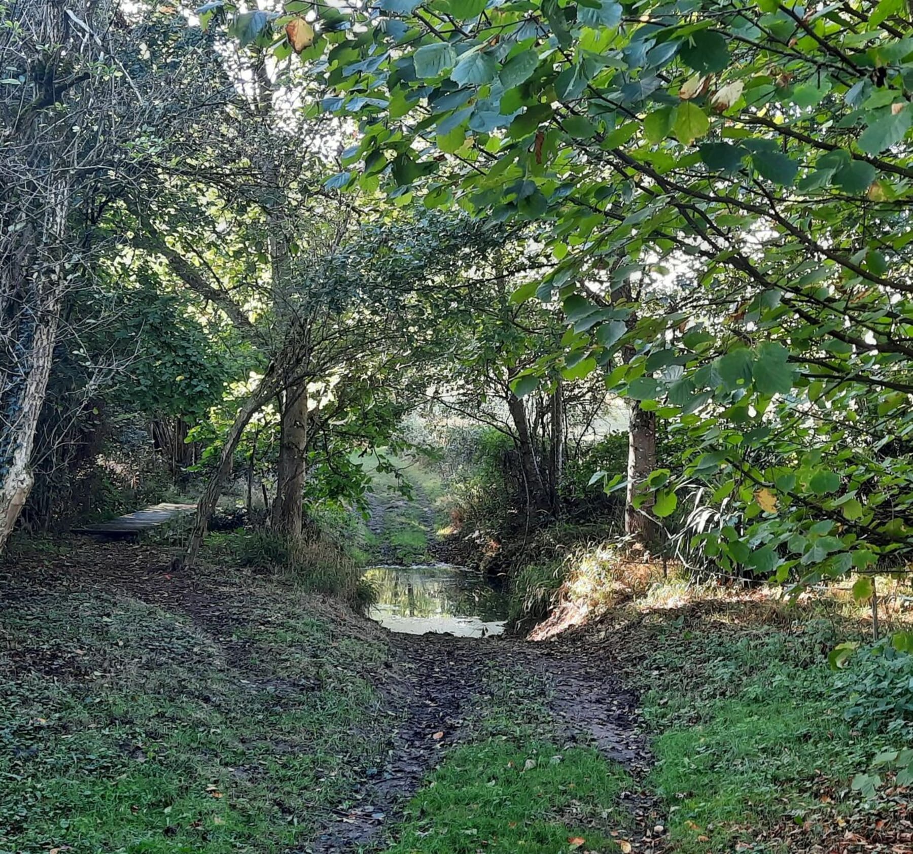 Randonnée Pouzy-Mésangy - Parcours "les 4 rivières" Pouzy-Mesangy 03320