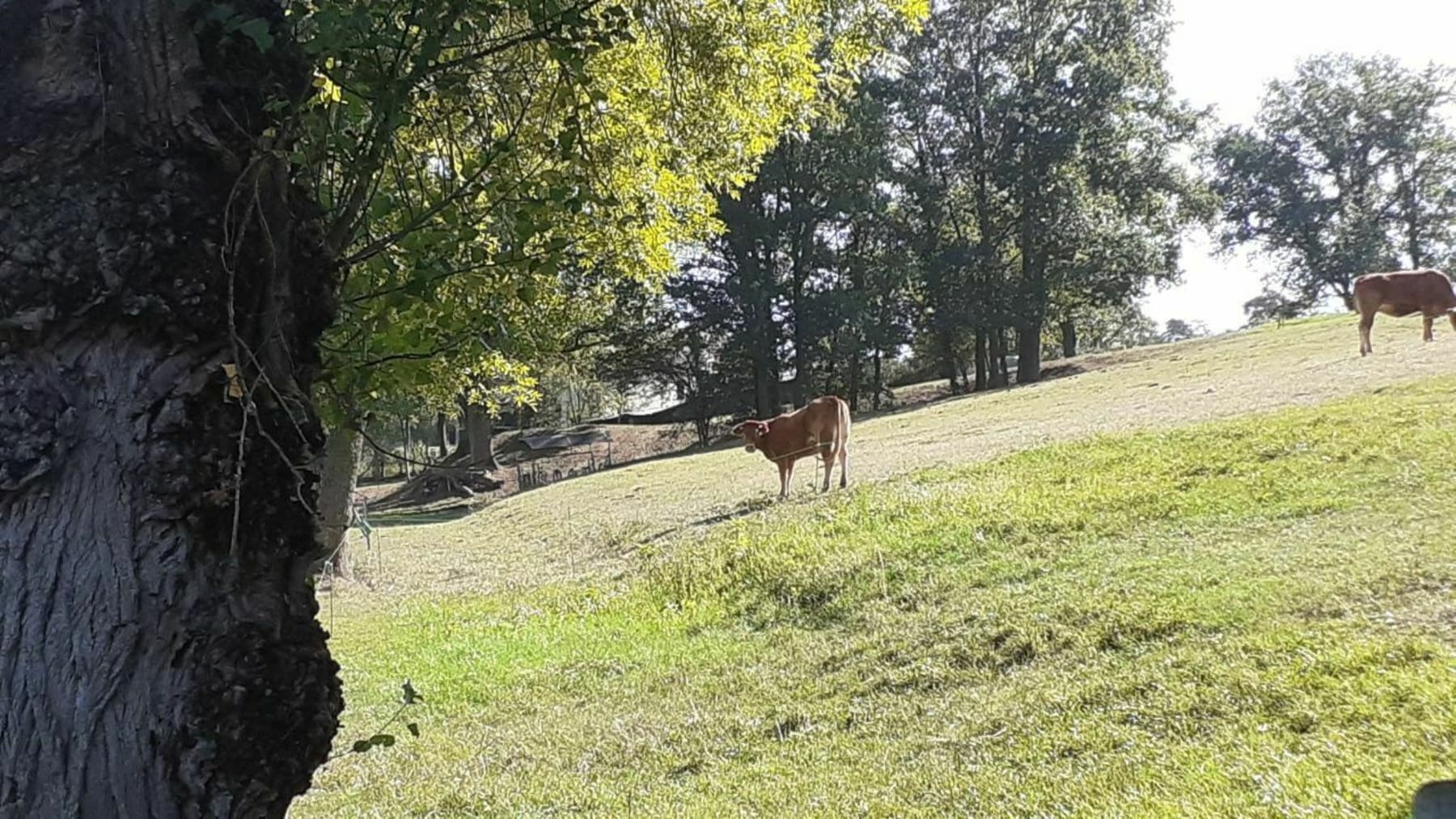 Randonnée Fontannes - Balade champêtre entre Fontannes et Frugerolles