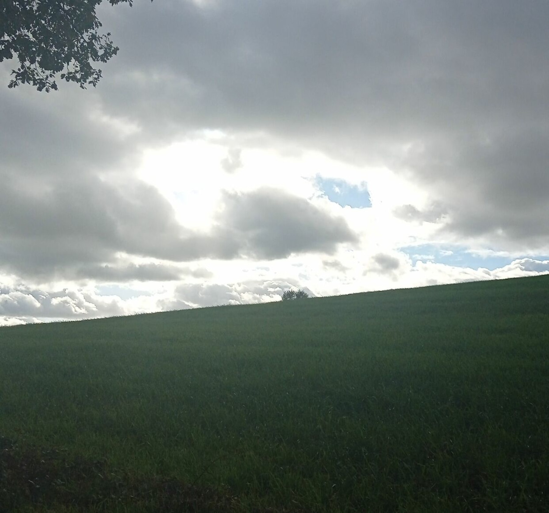 Randonnée Saint-Juéry - Route et un chemin depuis St-Juéry par Castelrouge