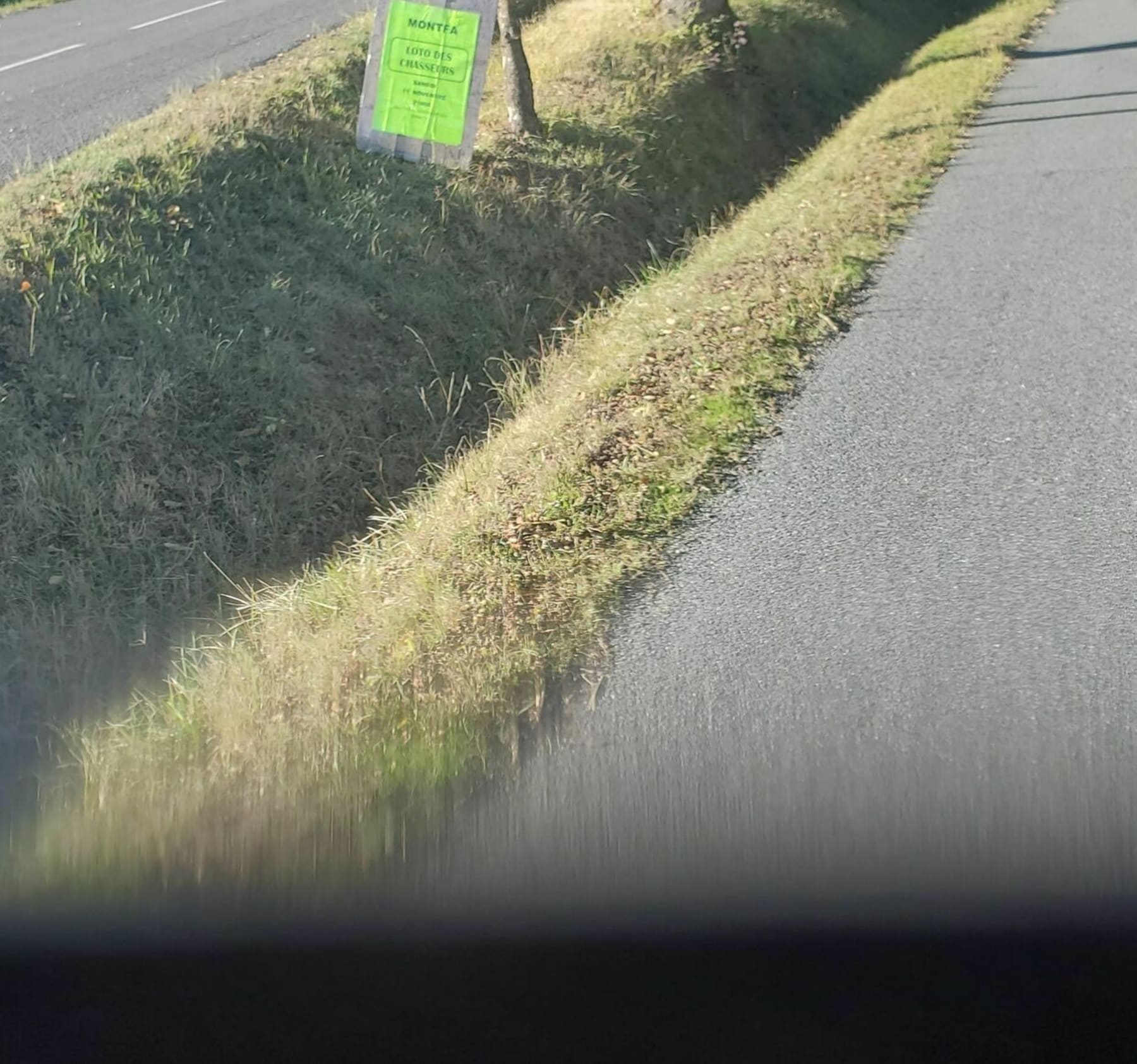 Randonnée Lombers - Balade vallonné à Lombers et dans le canton voisin