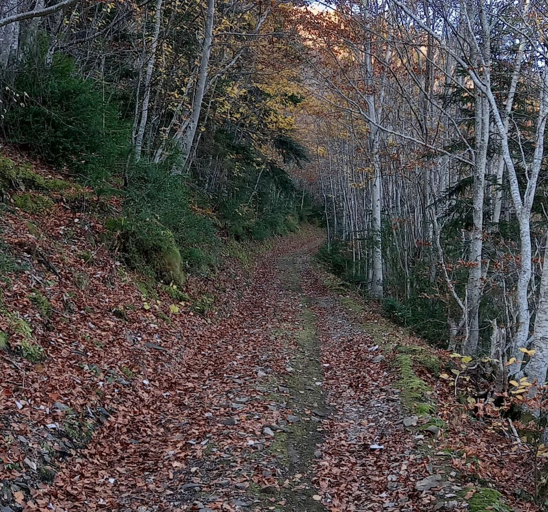 Randonnée Mijanès - Boucle au col de Sira depuis Mijanès