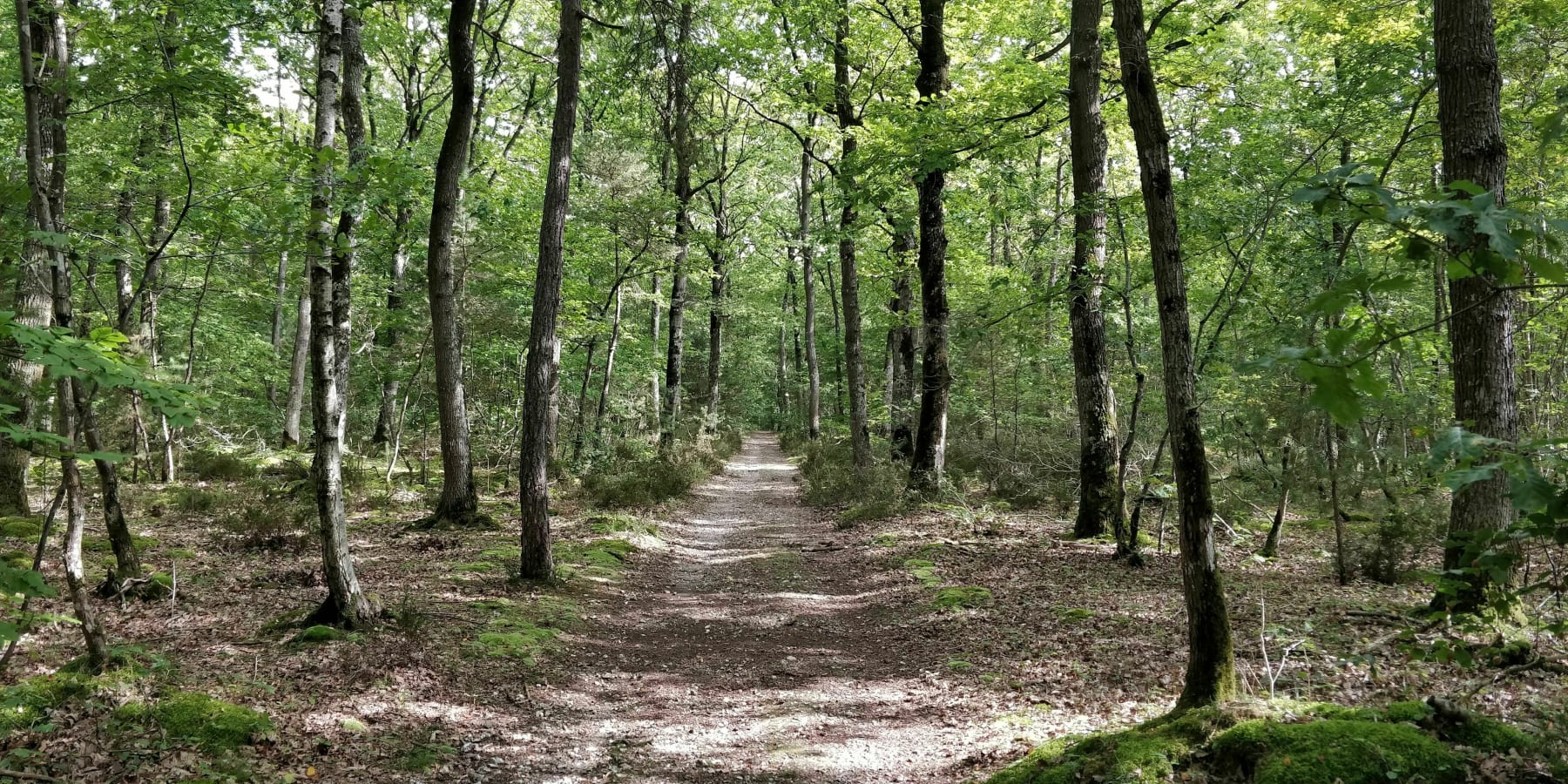 Randonnée Arnières-sur-Iton - Arnières - La lisière du Massif Forestier d'Evreux