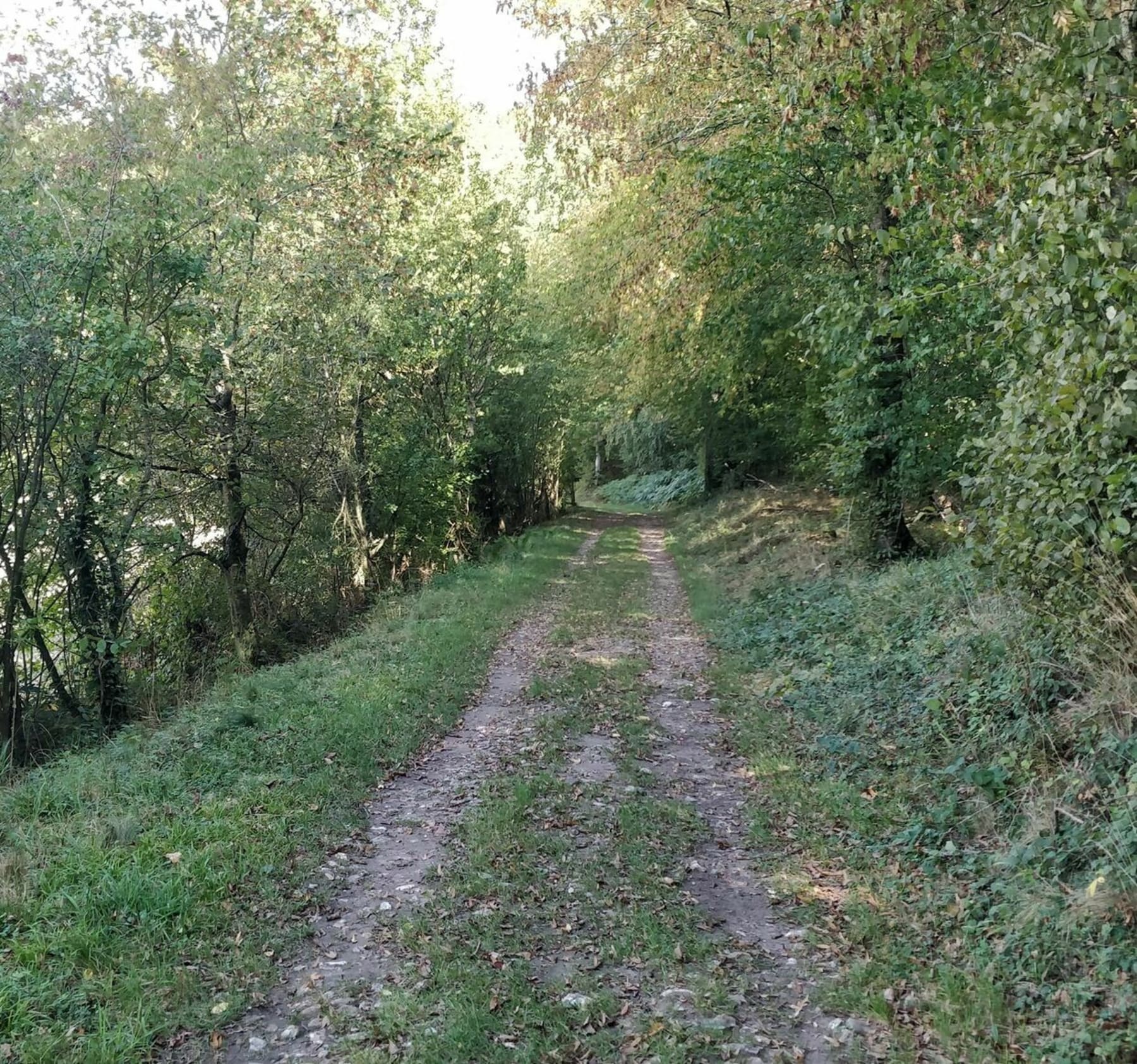 Randonnée Arnières-sur-Iton - Arnières - Entre champs et forêts