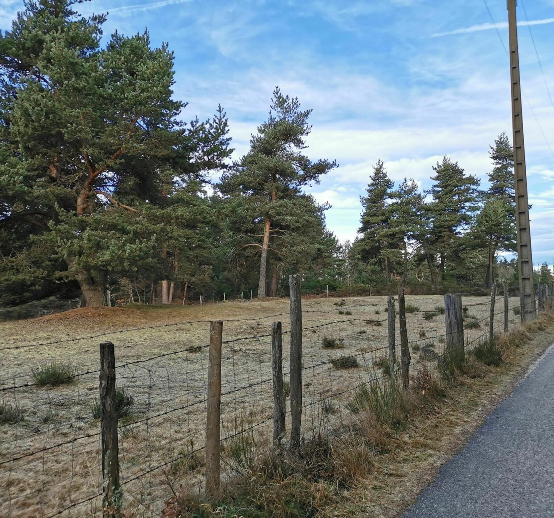 Randonnée Saint-Chély-d'Apcher - A la découverte de la Portes des Fées et la Tour d'Apcher