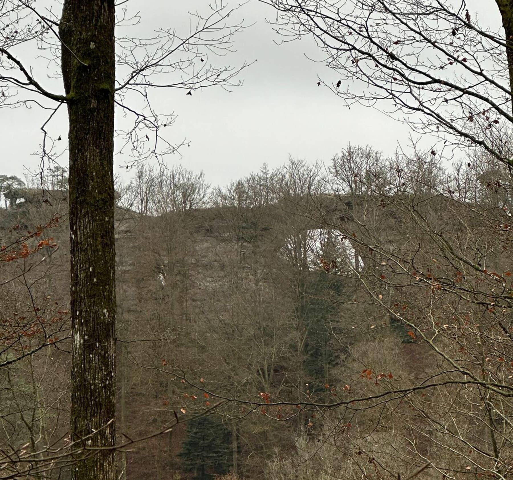 Randonnée Éguelshardt - Les étangs et les châteaux — boucle depuis Éguelshardt