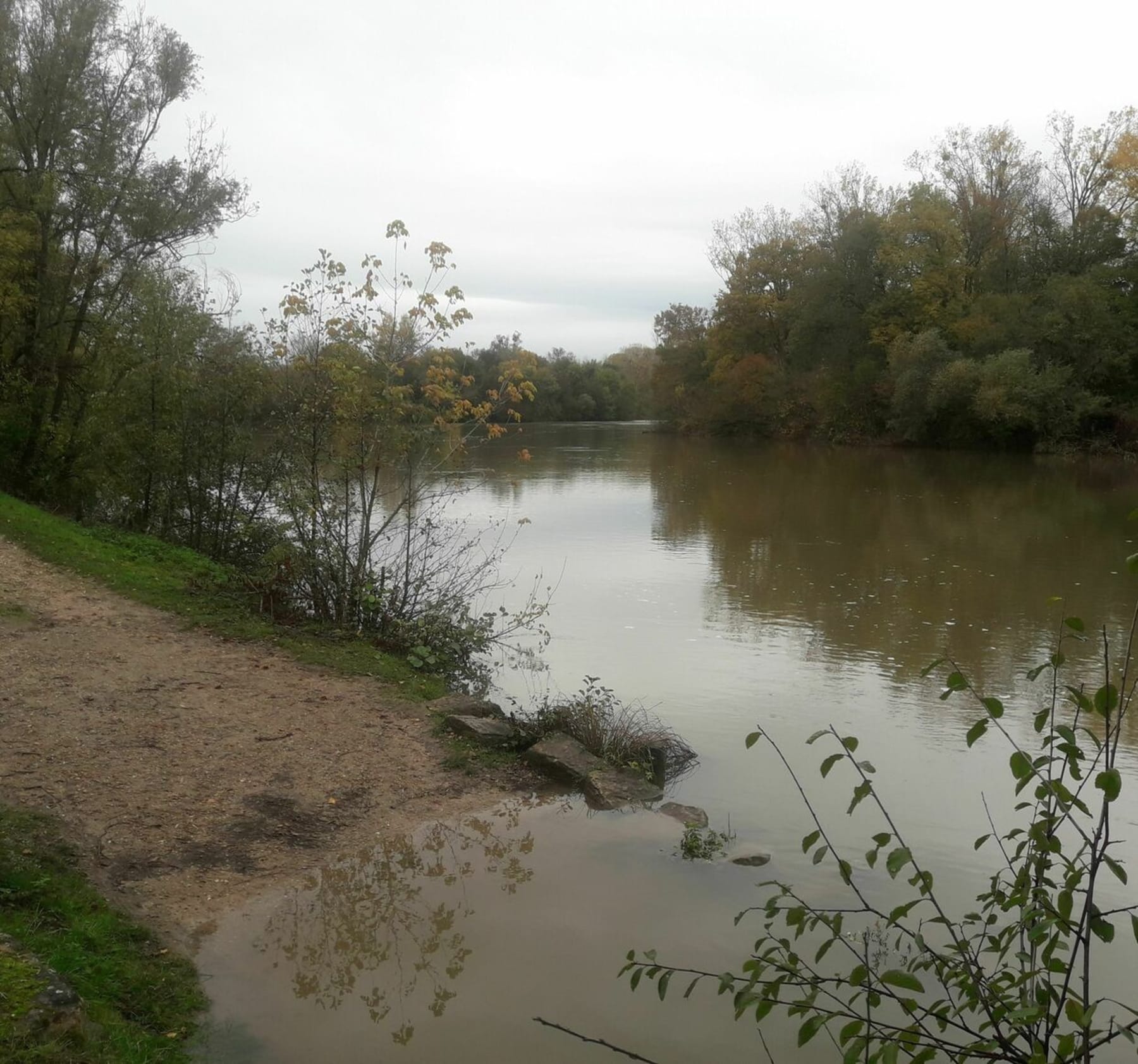 Randonnée Trévoux - Trévoux - Saint-Bernard par Chamalan et les bords de Saône